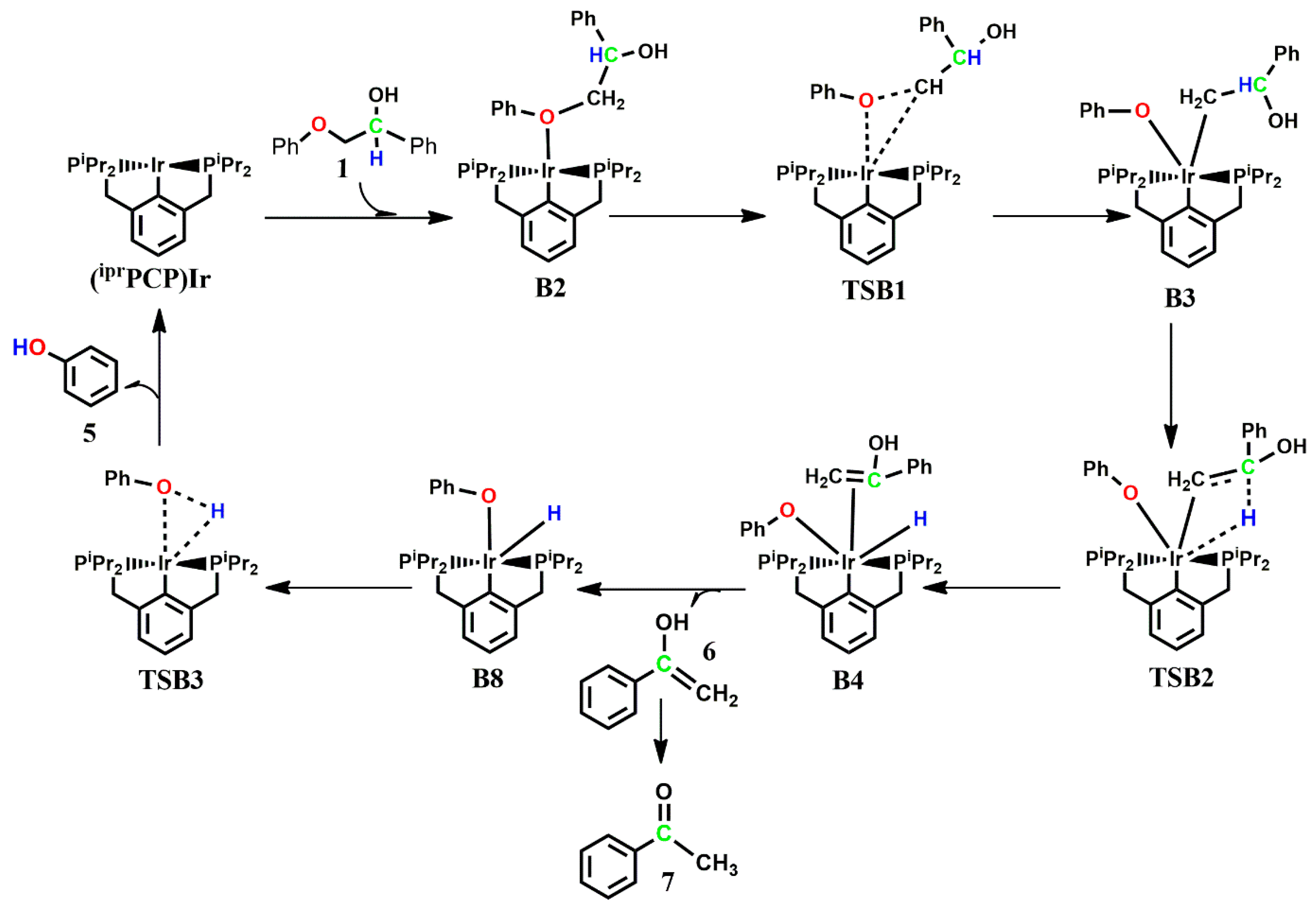 Catalysts 13 00757 sch005