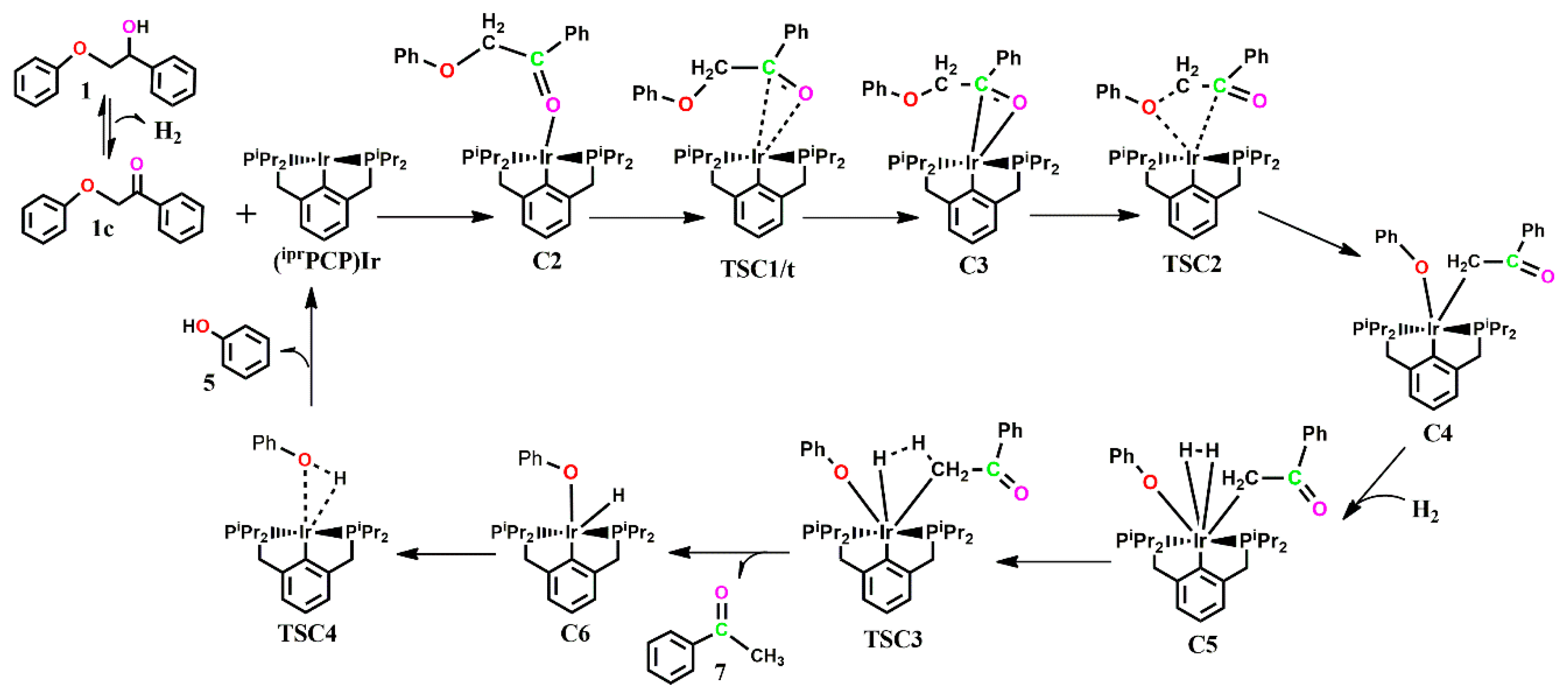 Catalysts 13 00757 sch006