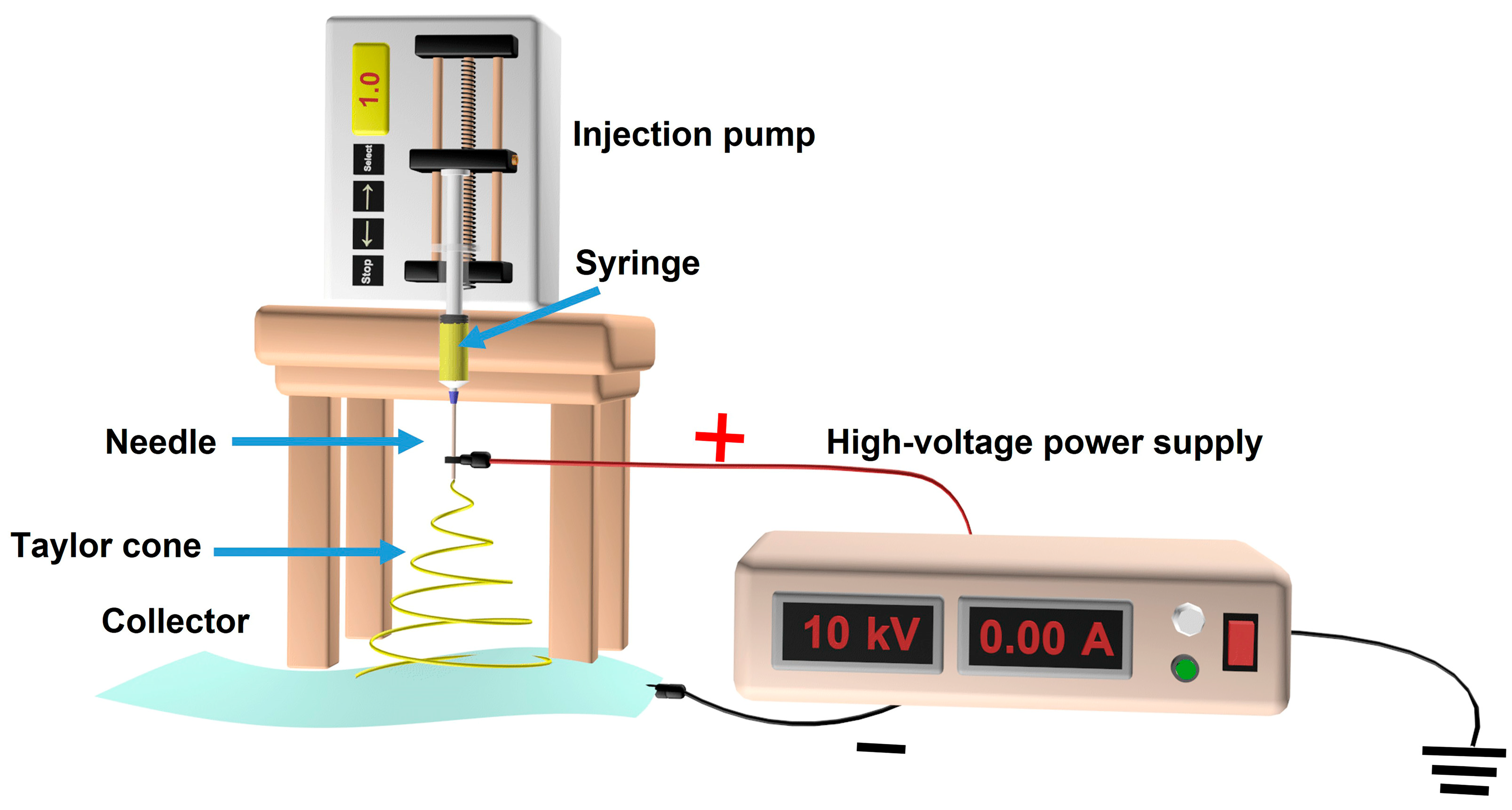 Catalysts 13 00758 g002 Catalysts 13 00758 g002