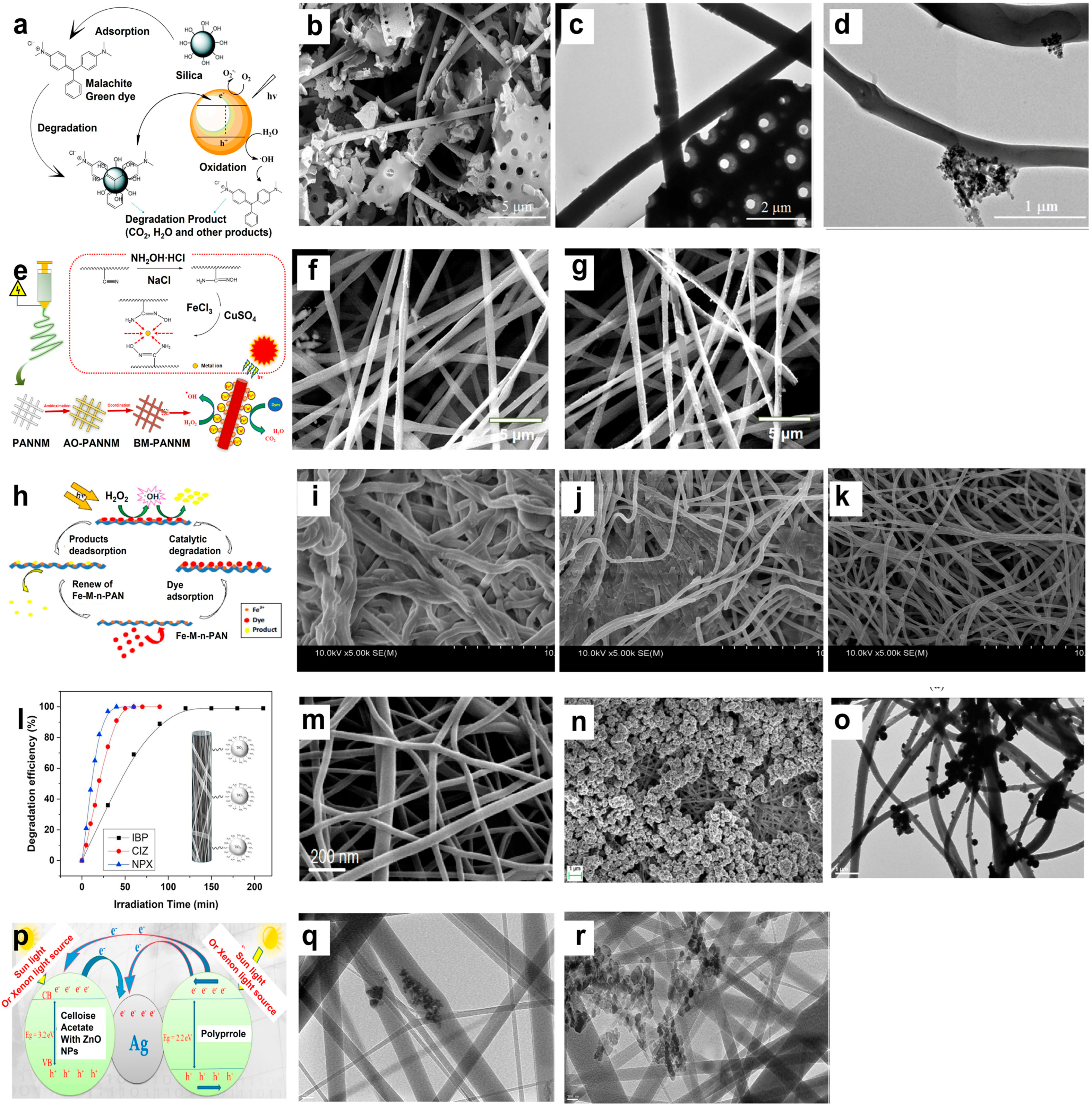 Catalysts 13 00758 g005 Catalysts 13 00758 g005
