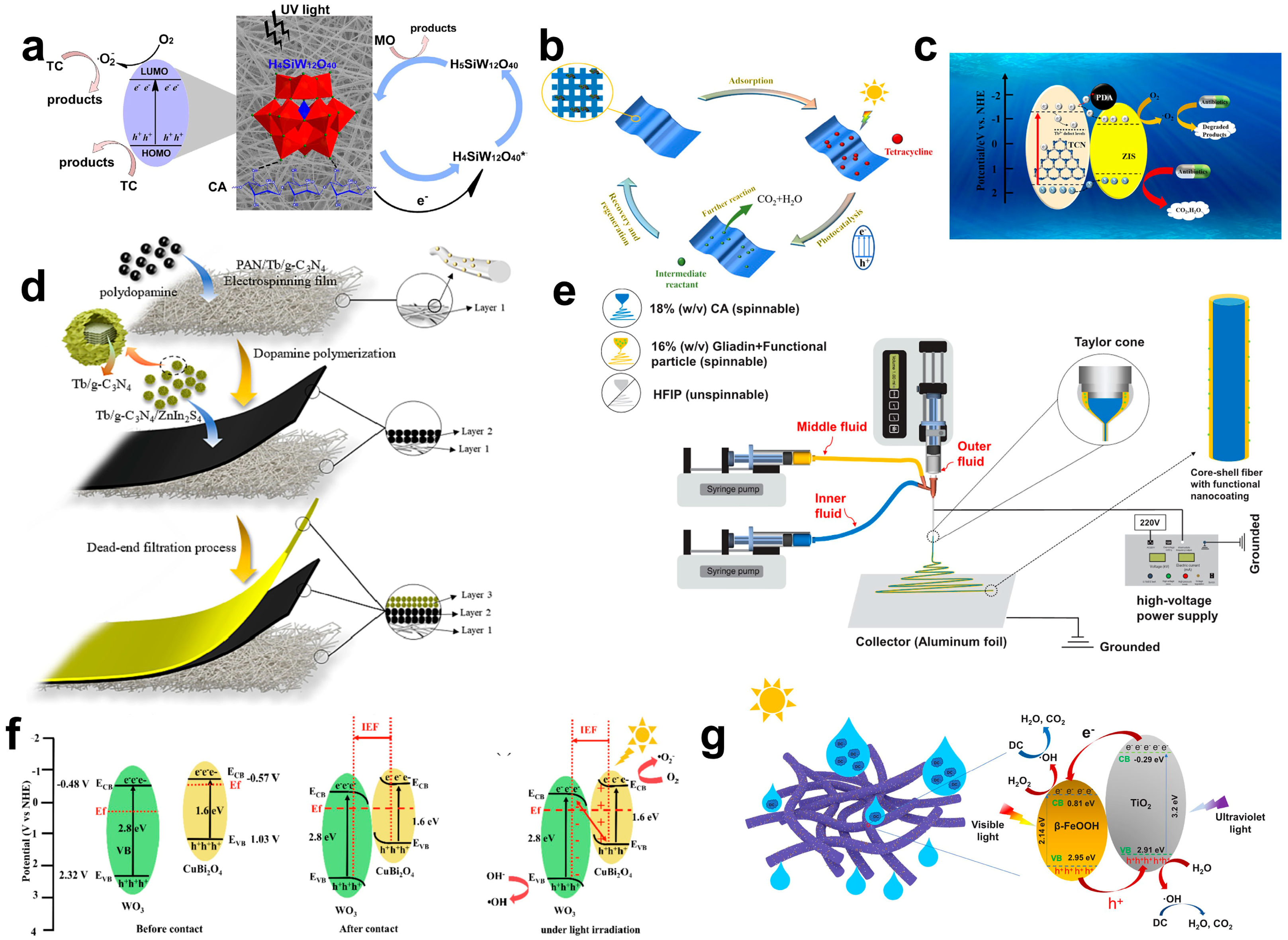 Catalysts 13 00758 g012 Catalysts 13 00758 g012
