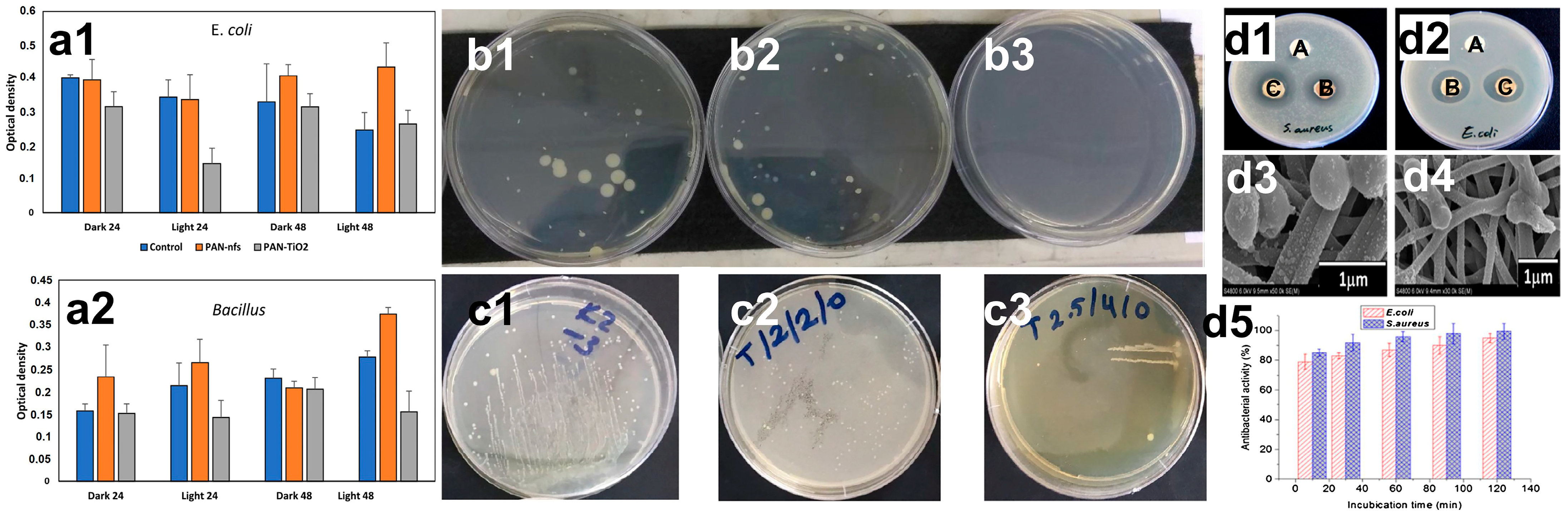 Catalysts 13 00758 g013 Catalysts 13 00758 g013