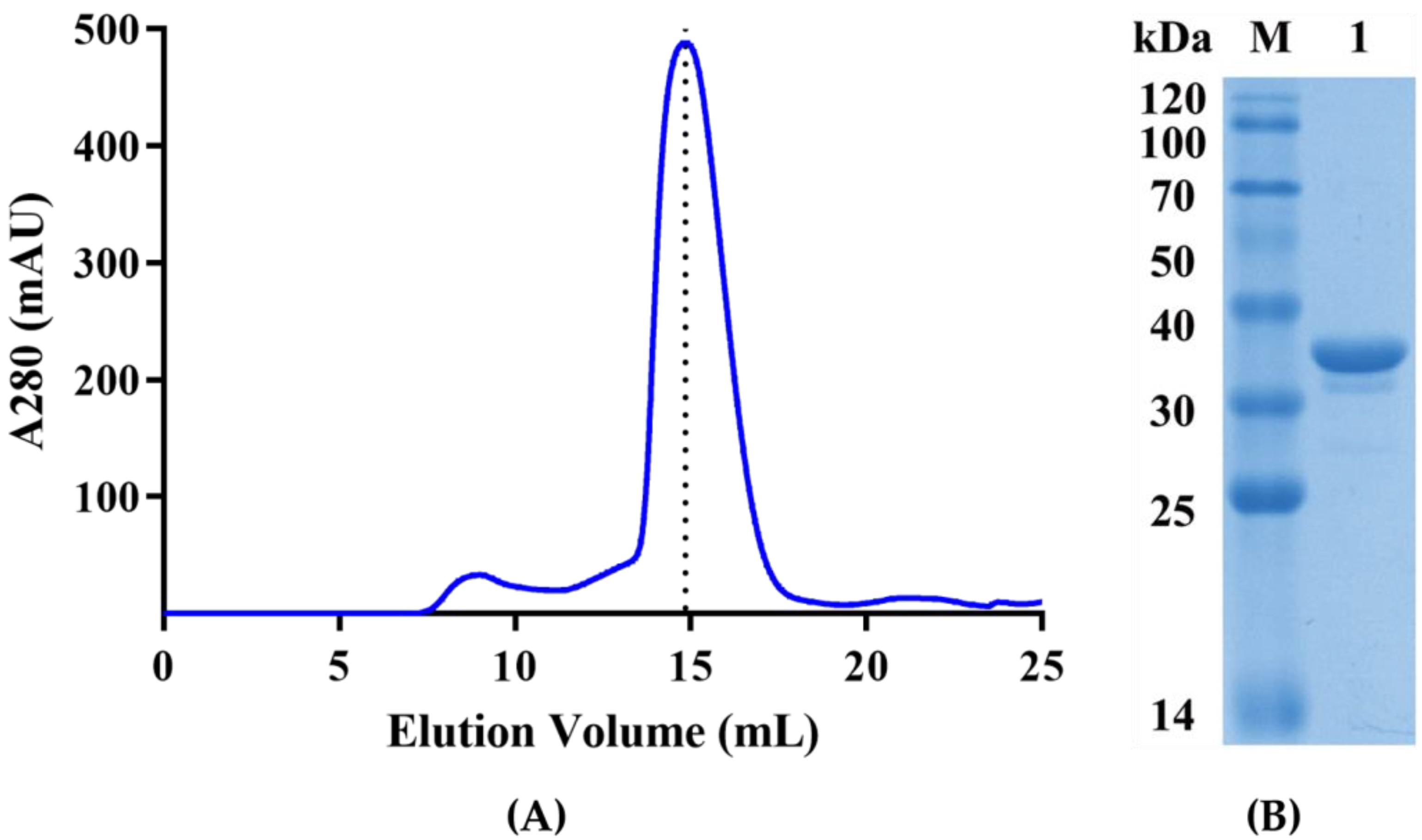 Catalysts 13 00759 g002