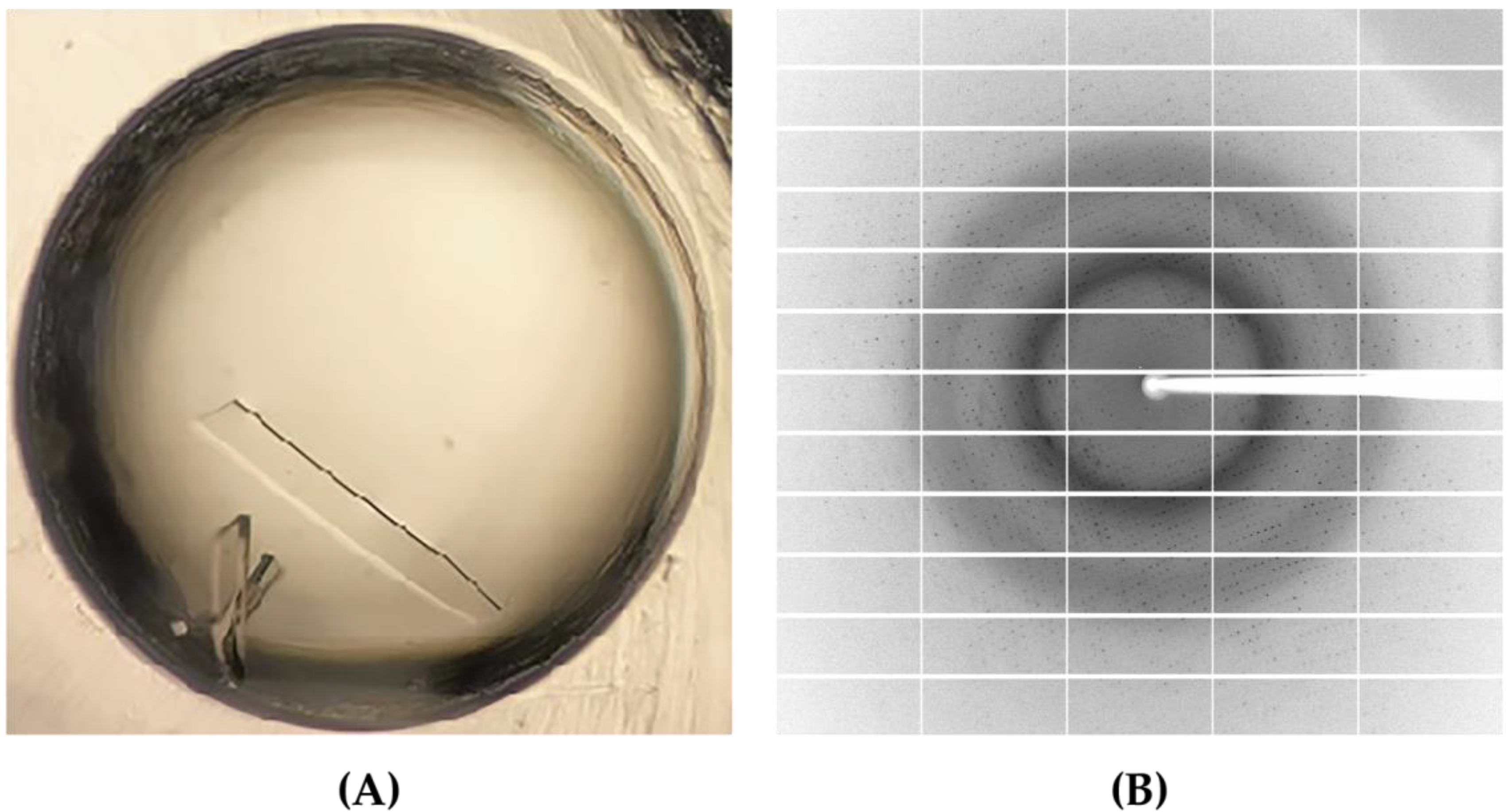 Catalysts 13 00759 g004