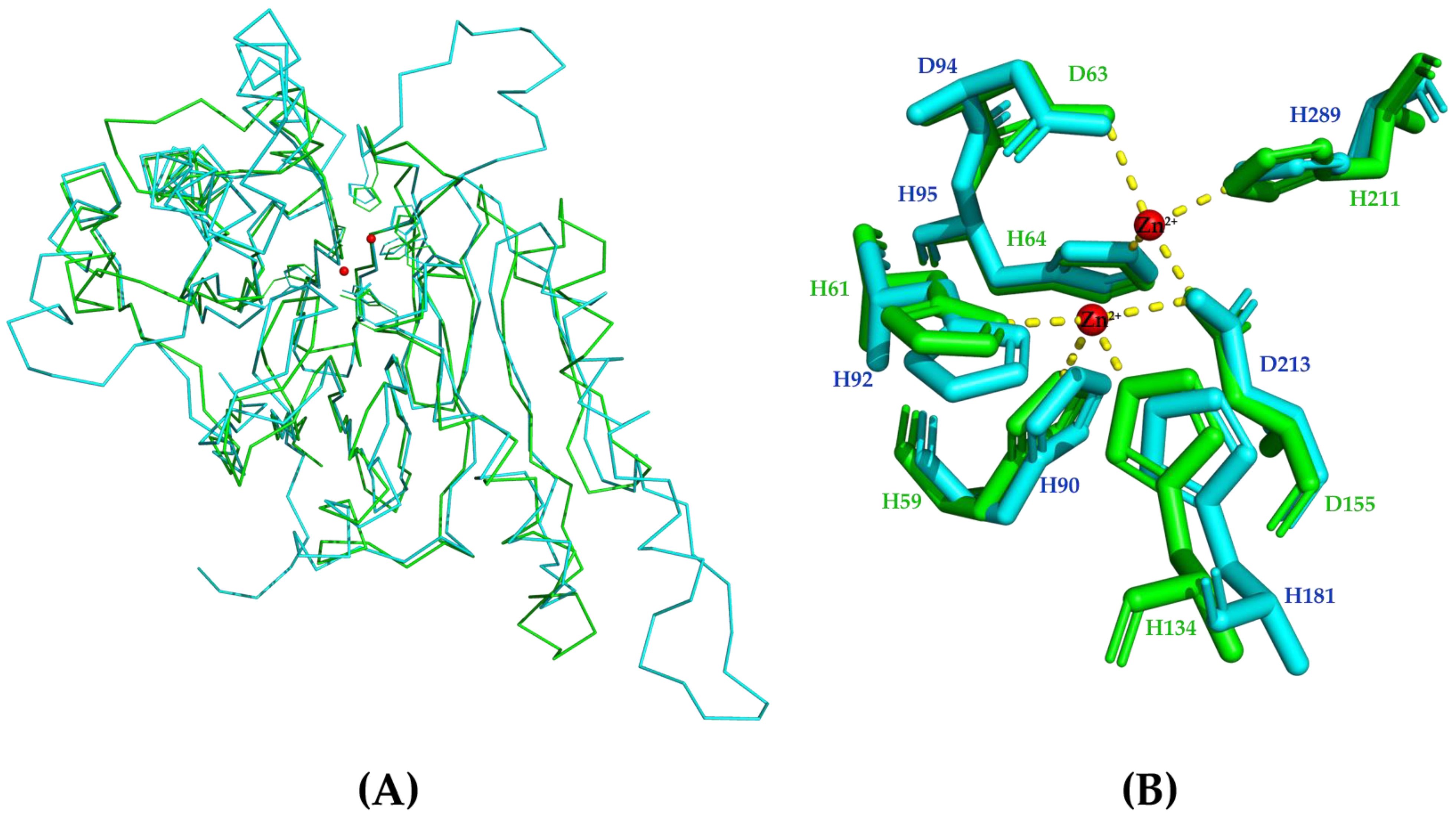 Catalysts 13 00759 g006