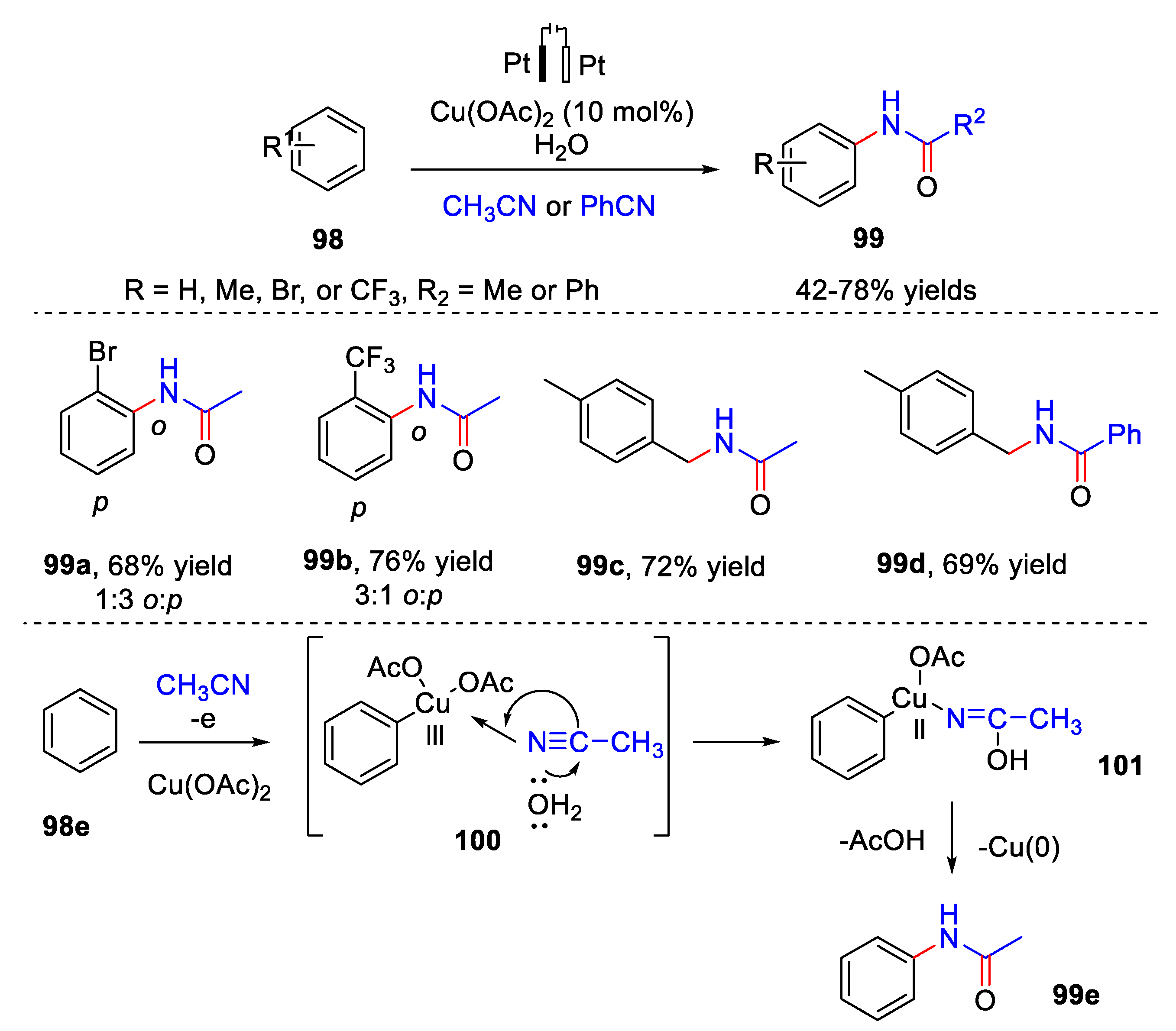 Catalysts 13 00761 sch023 Catalysts 13 00761 sch023