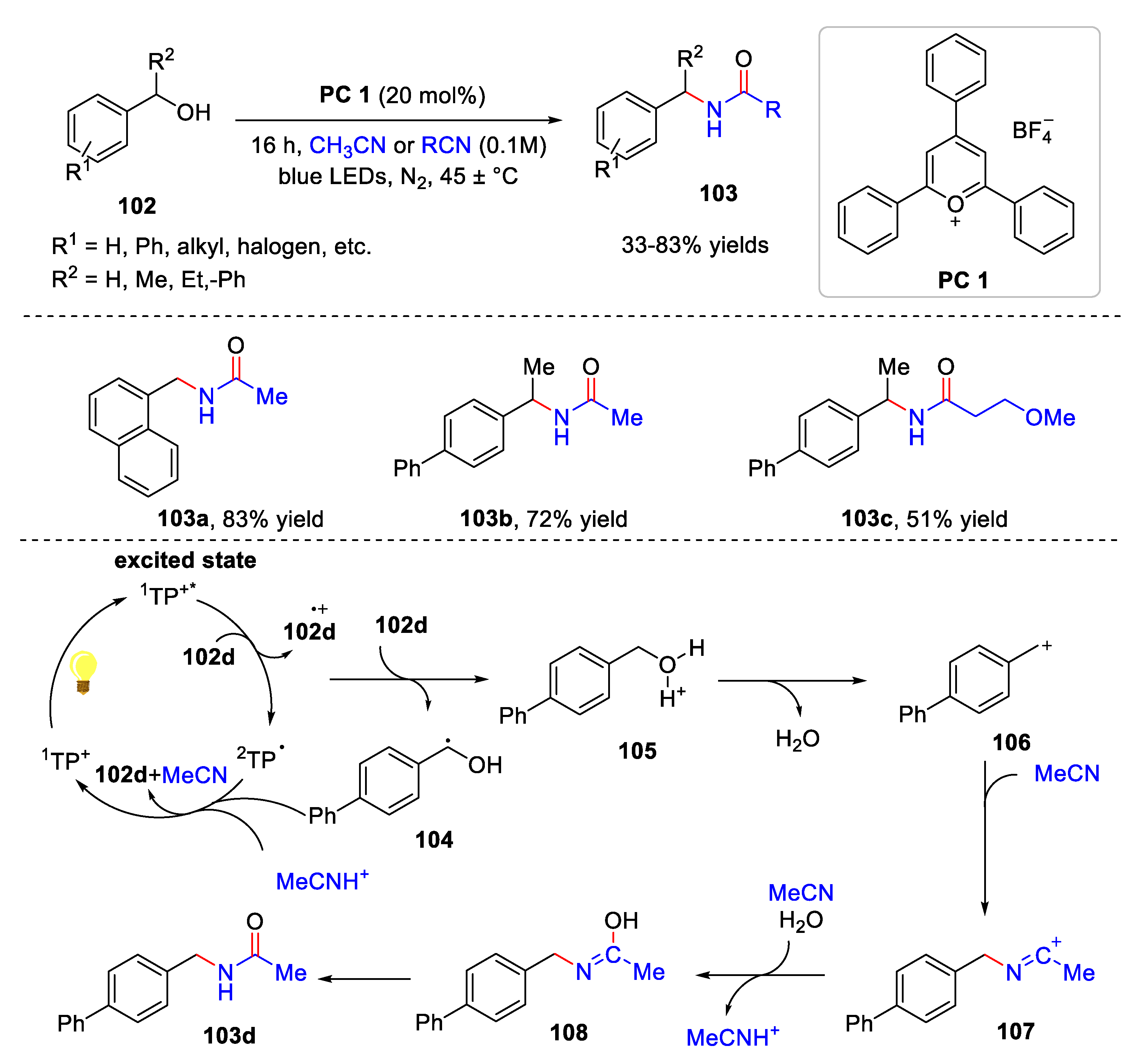 Catalysts 13 00761 sch024 Catalysts 13 00761 sch024