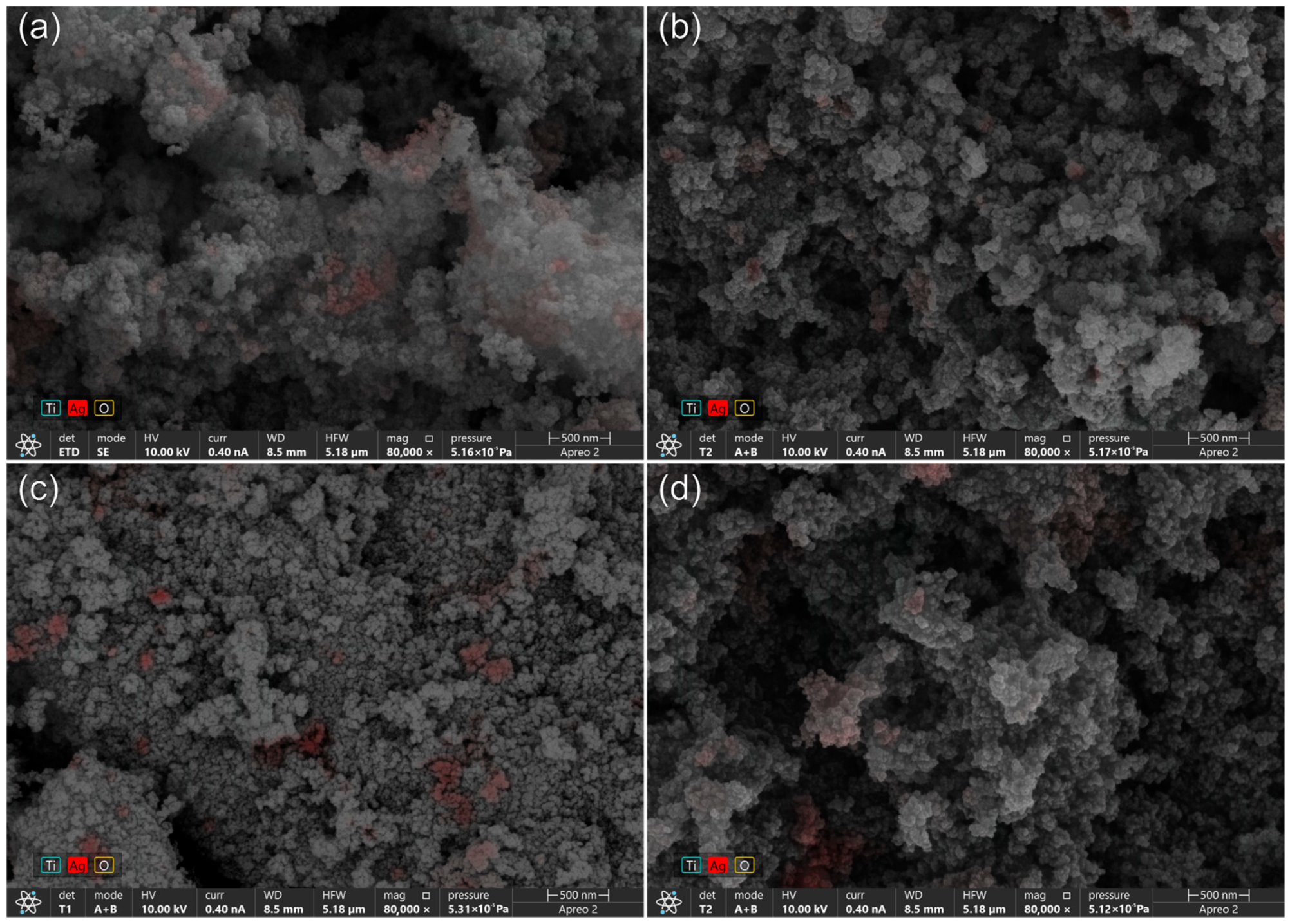 Catalysts 13 00764 g005