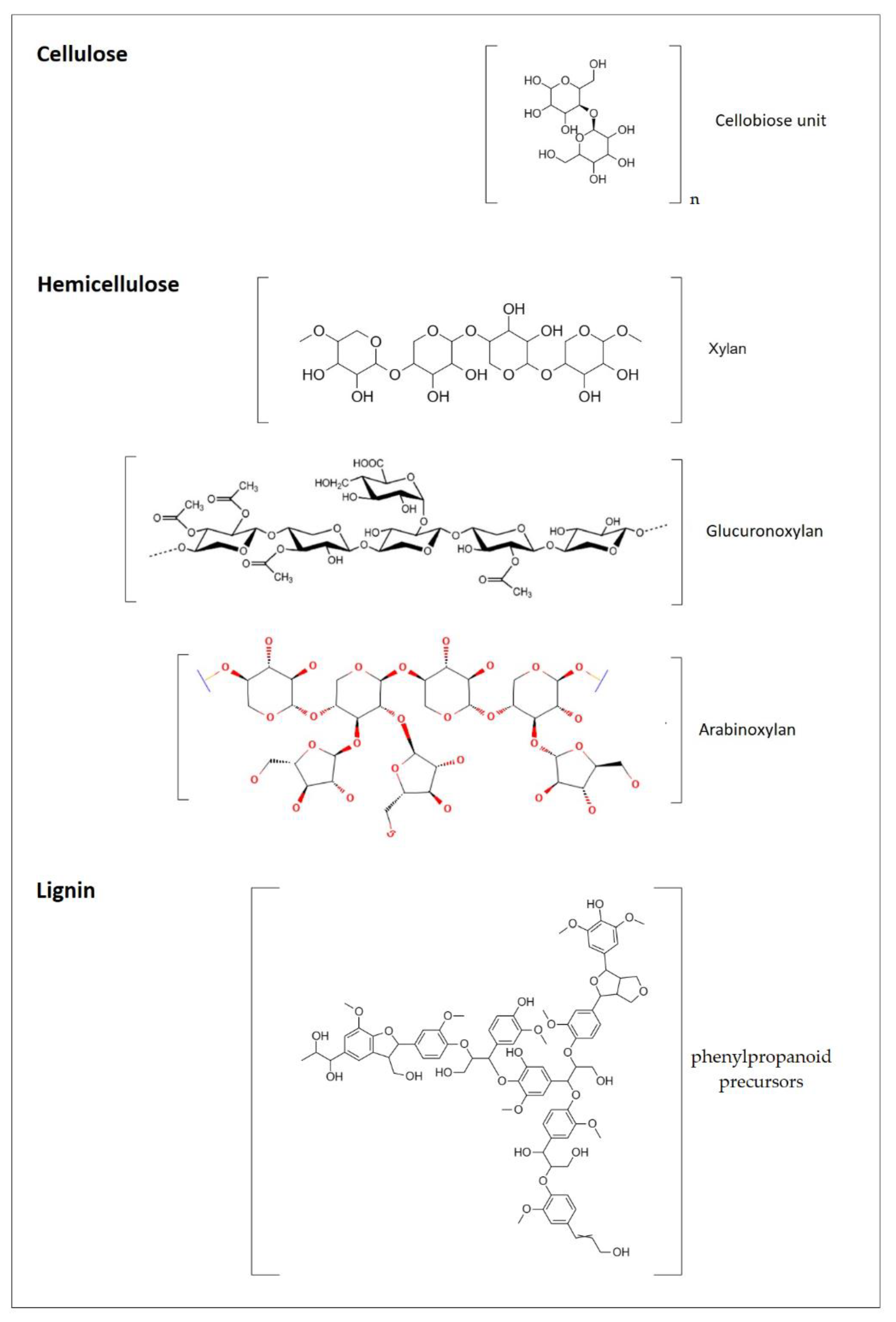 Catalysts 13 00766 g001