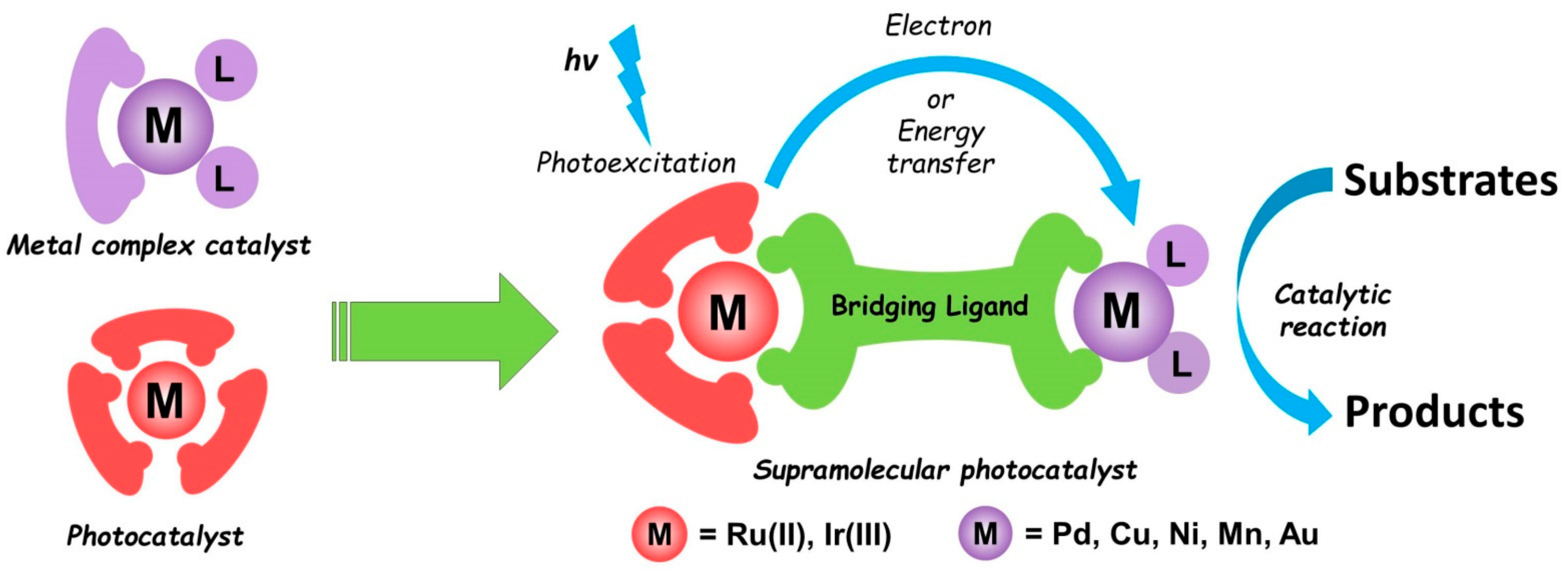 Catalysts 13 00768 sch001