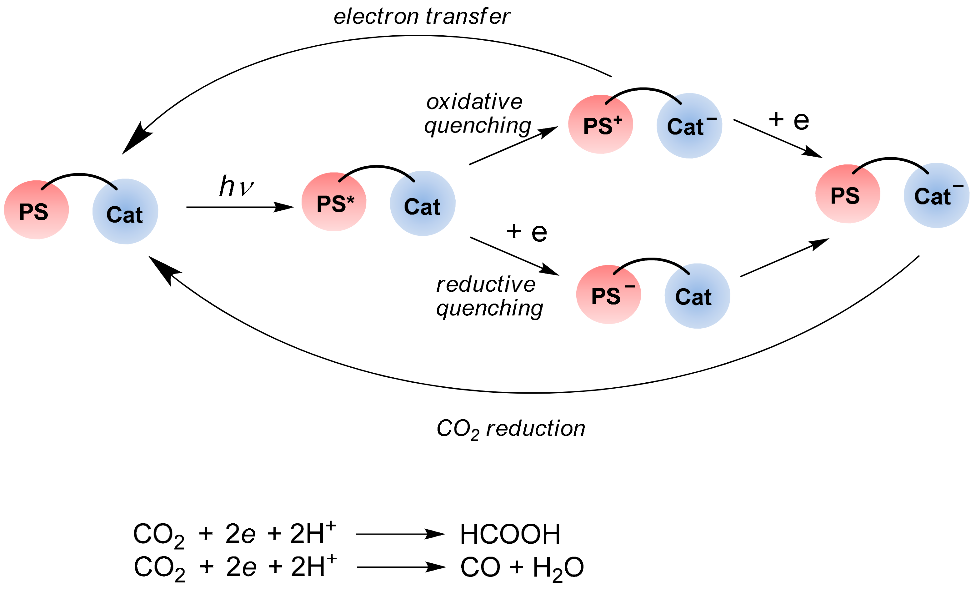 Catalysts 13 00768 sch003