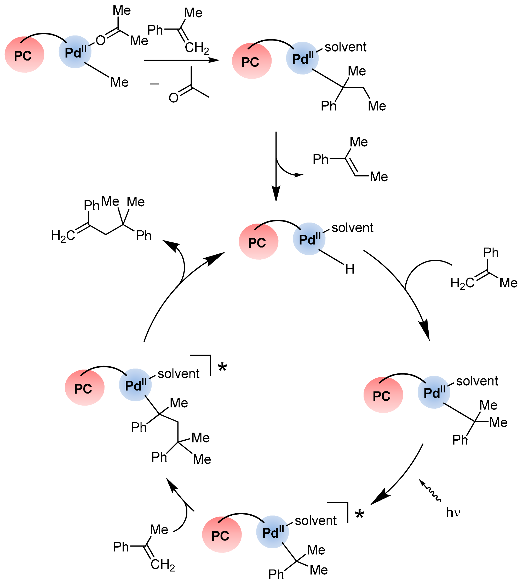 Catalysts 13 00768 sch005