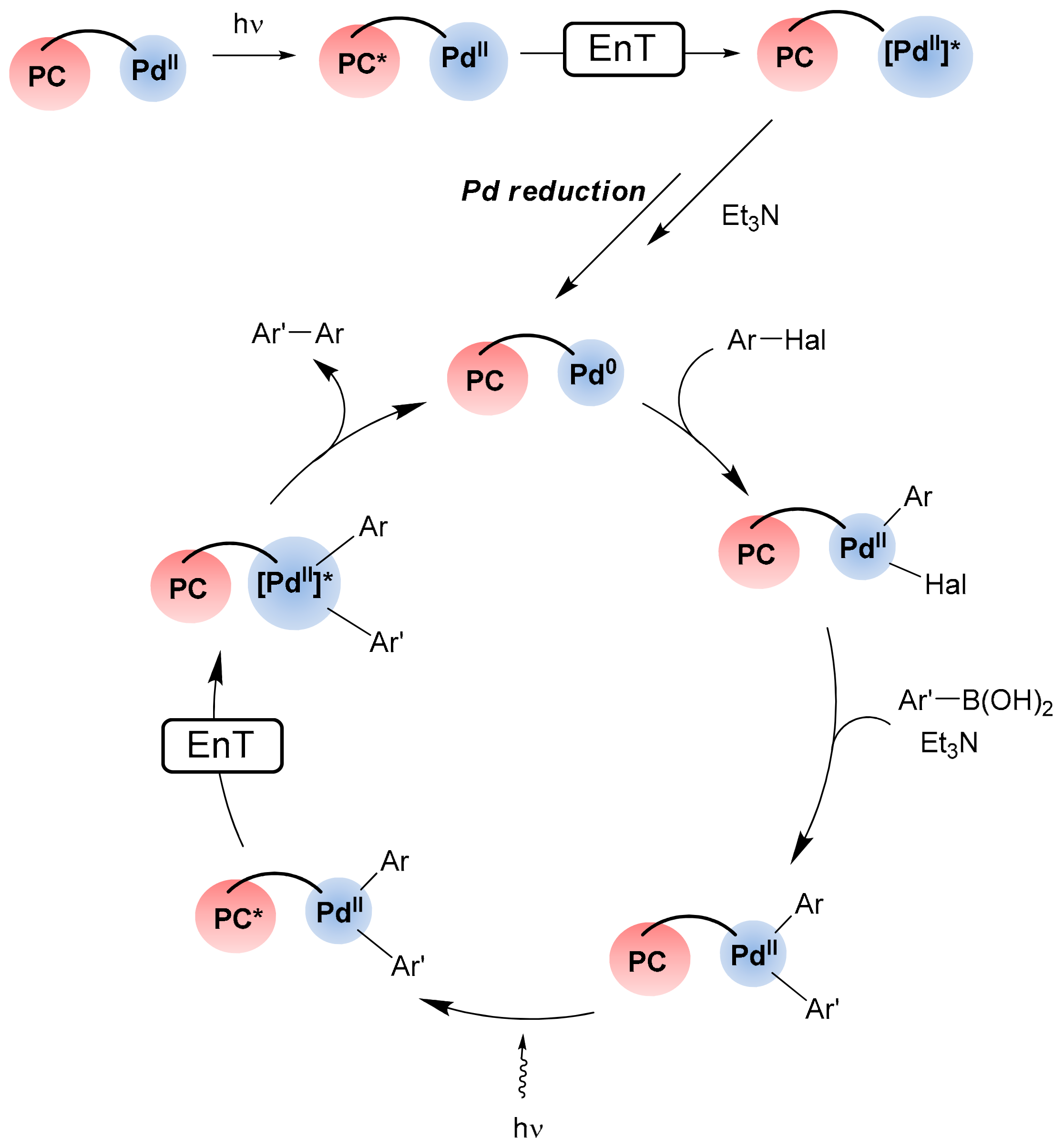 Catalysts 13 00768 sch007