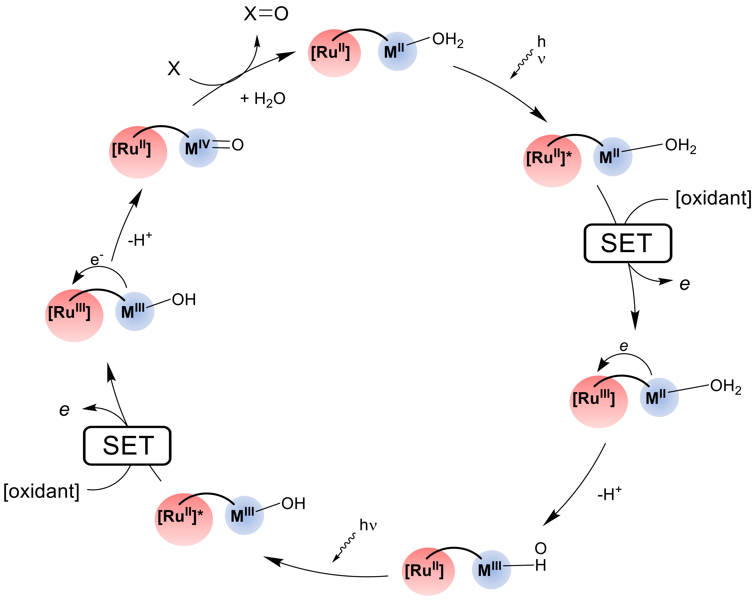 Catalysts 13 00768 sch012