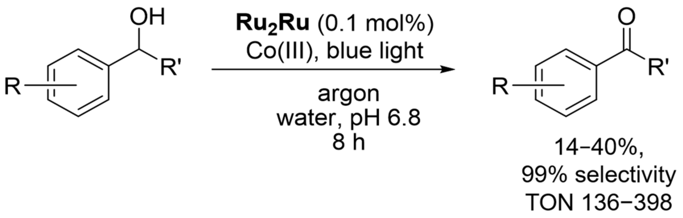 Catalysts 13 00768 sch013