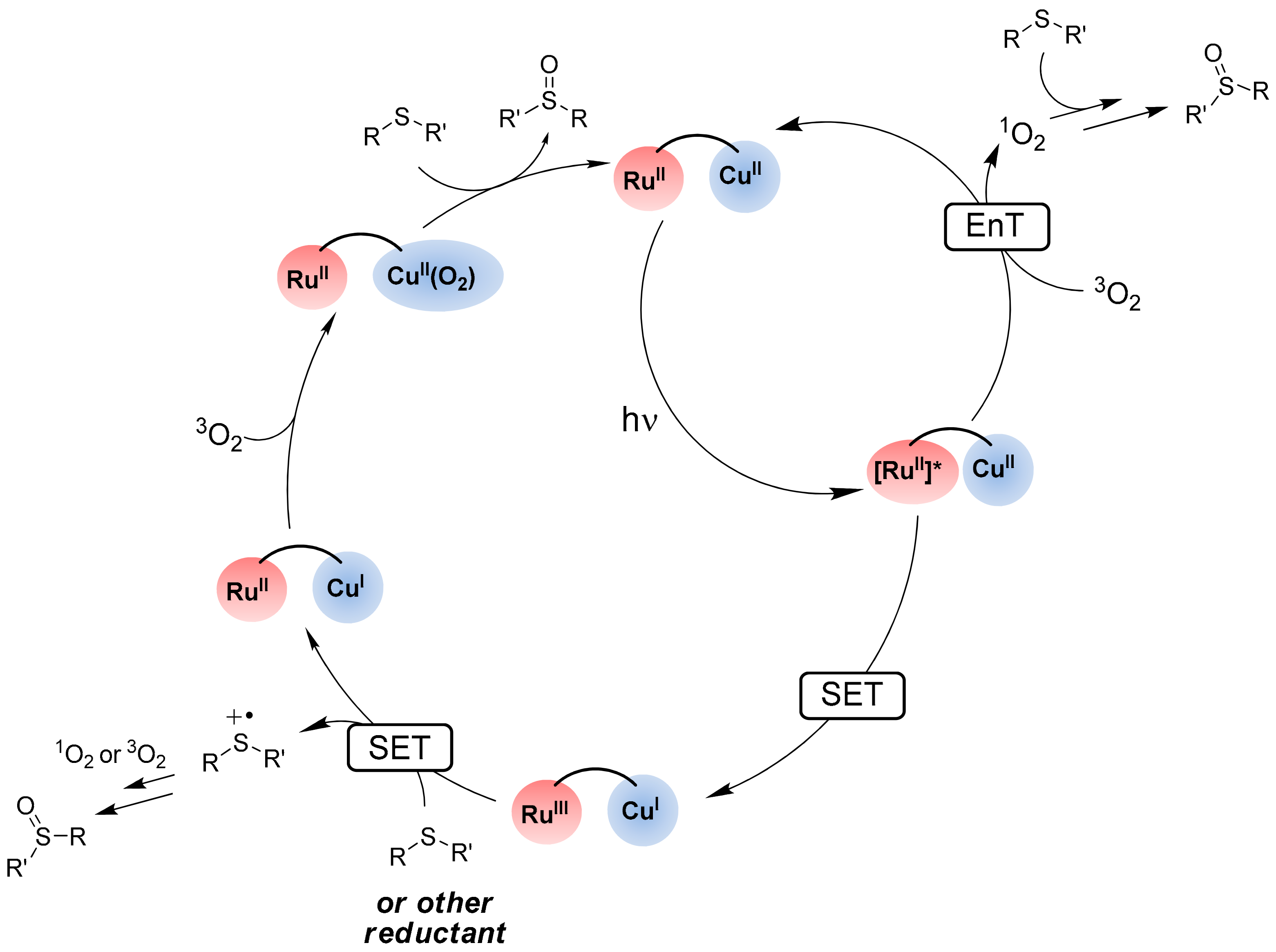 Catalysts 13 00768 sch014