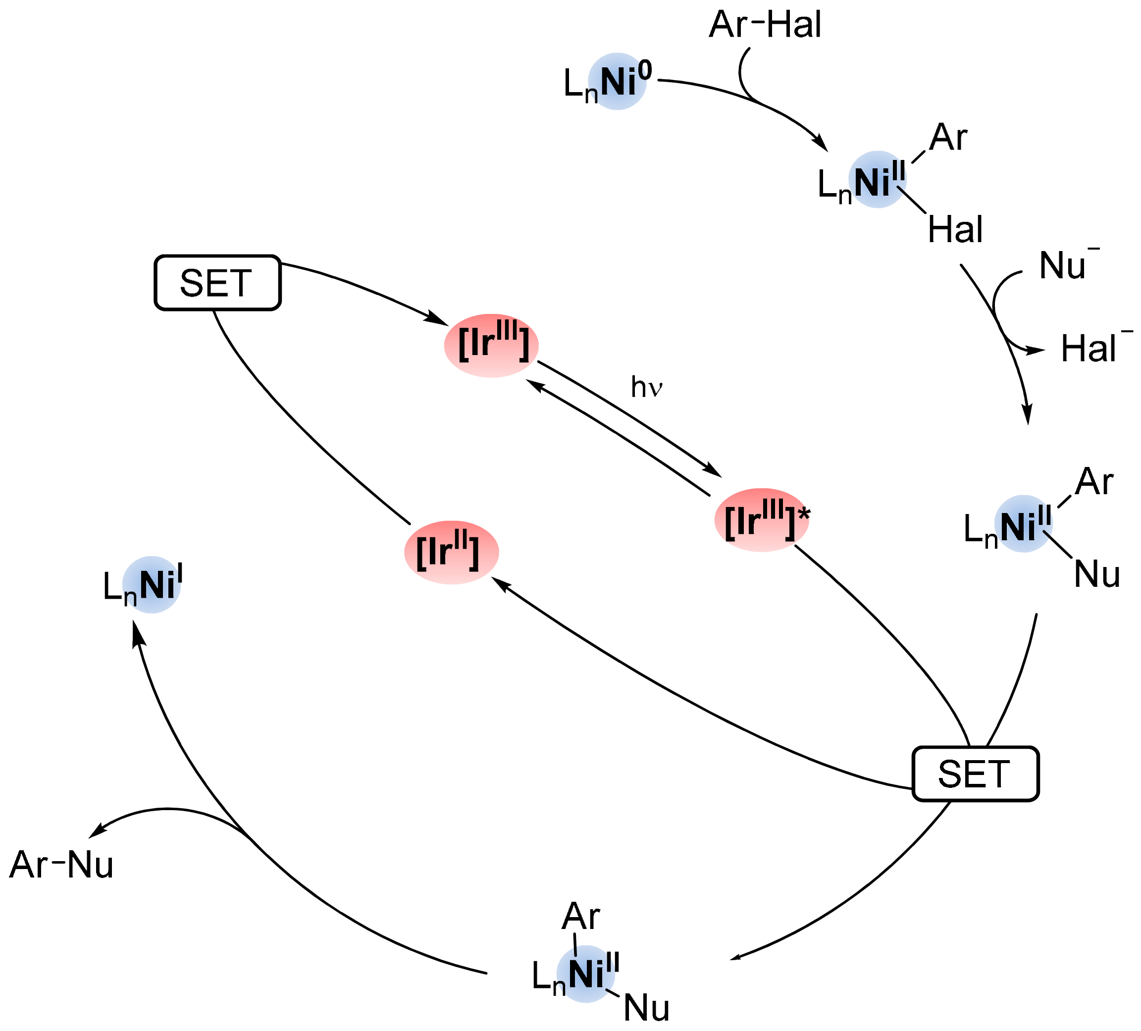 Catalysts 13 00768 sch017