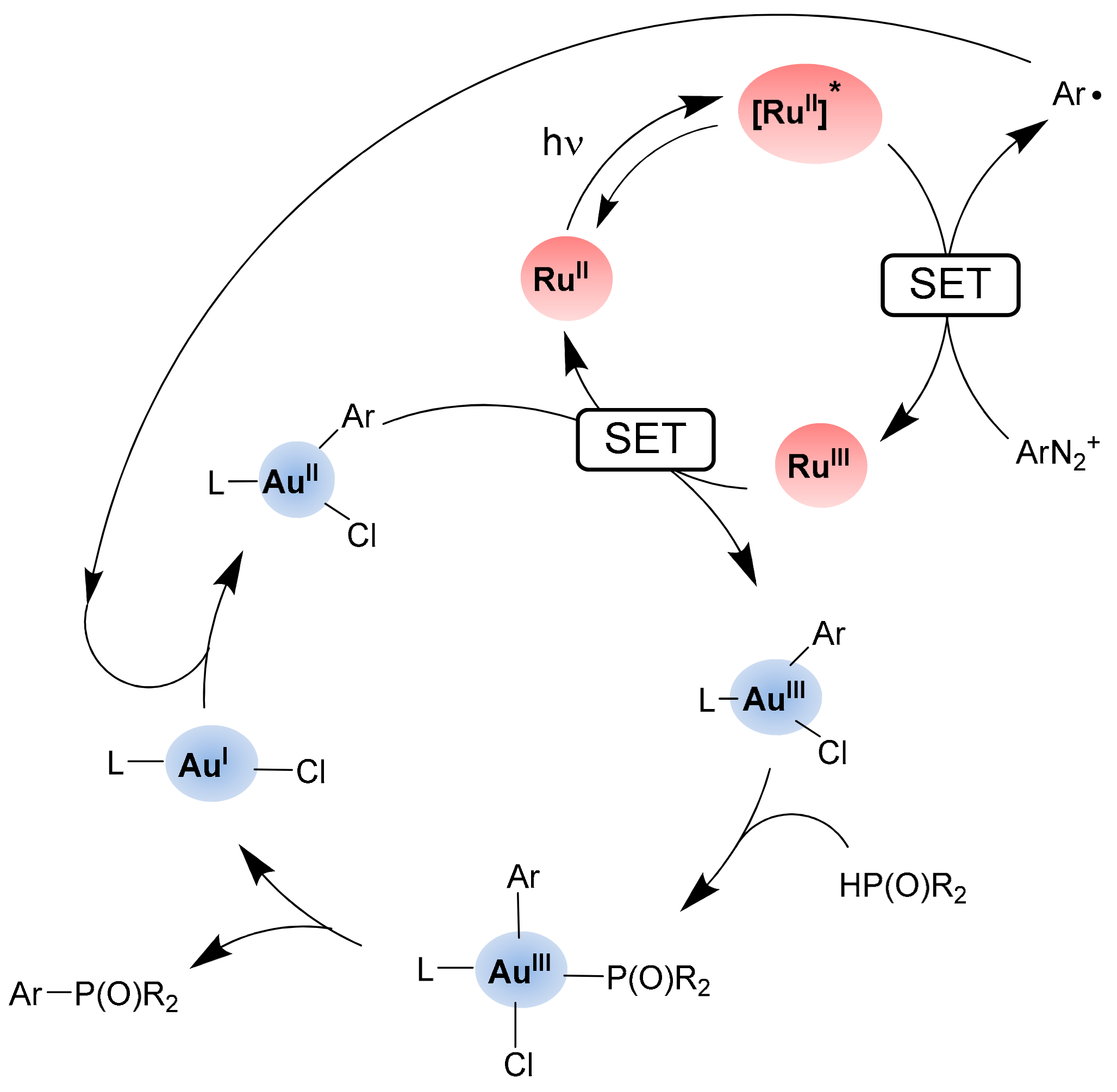 Catalysts 13 00768 sch023