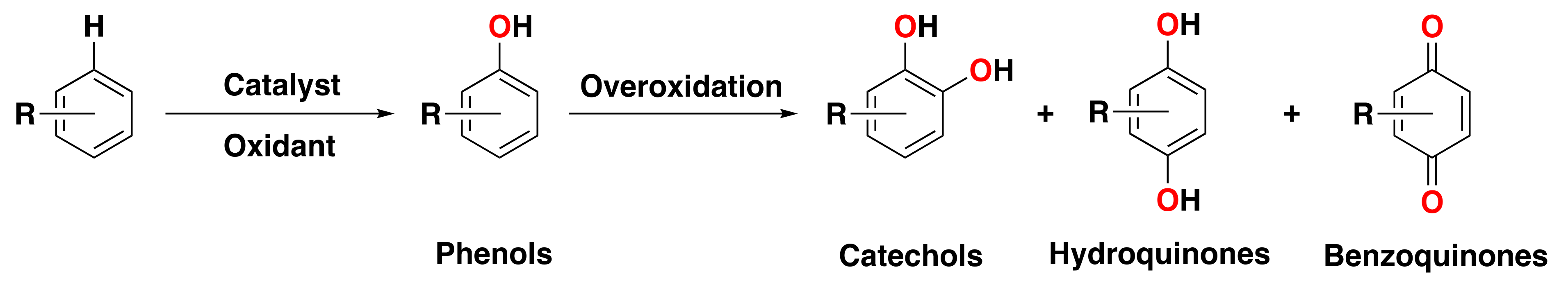 Catalysts 13 00773 g001 Catalysts 13 00773 g001