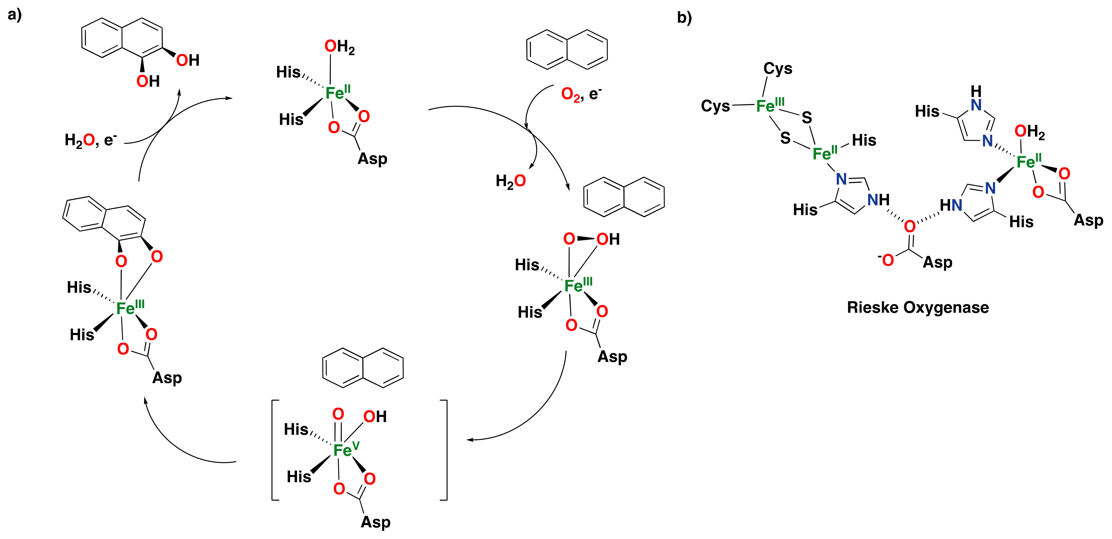 Catalysts 13 00773 g005 Catalysts 13 00773 g005