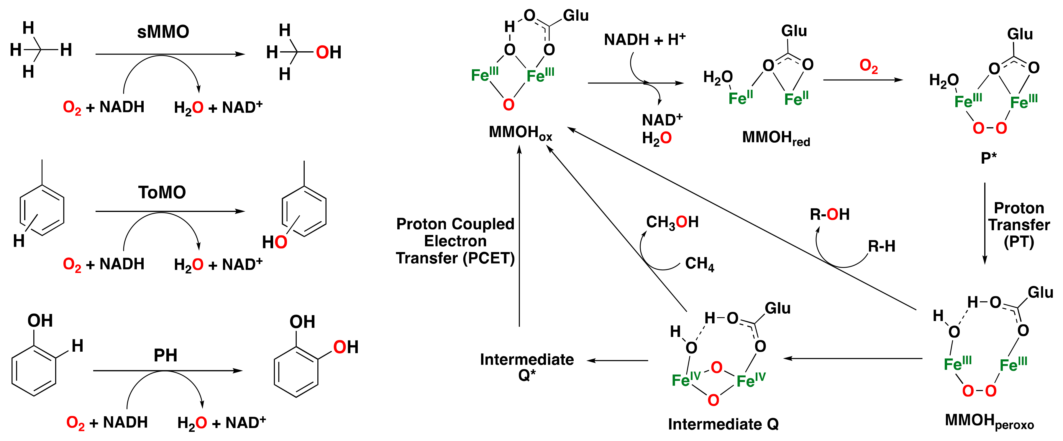 Catalysts 13 00773 g006 Catalysts 13 00773 g006