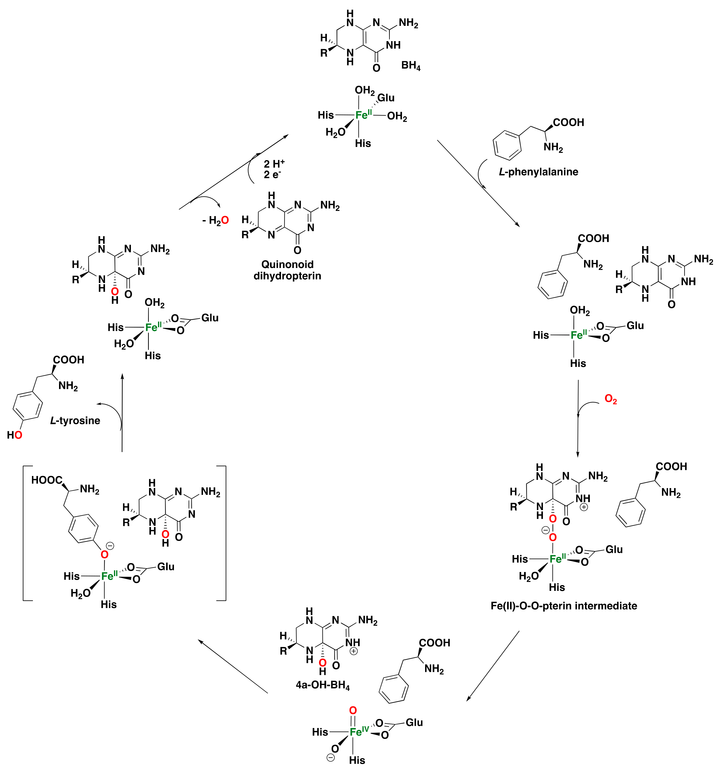 Catalysts 13 00773 g009 Catalysts 13 00773 g009