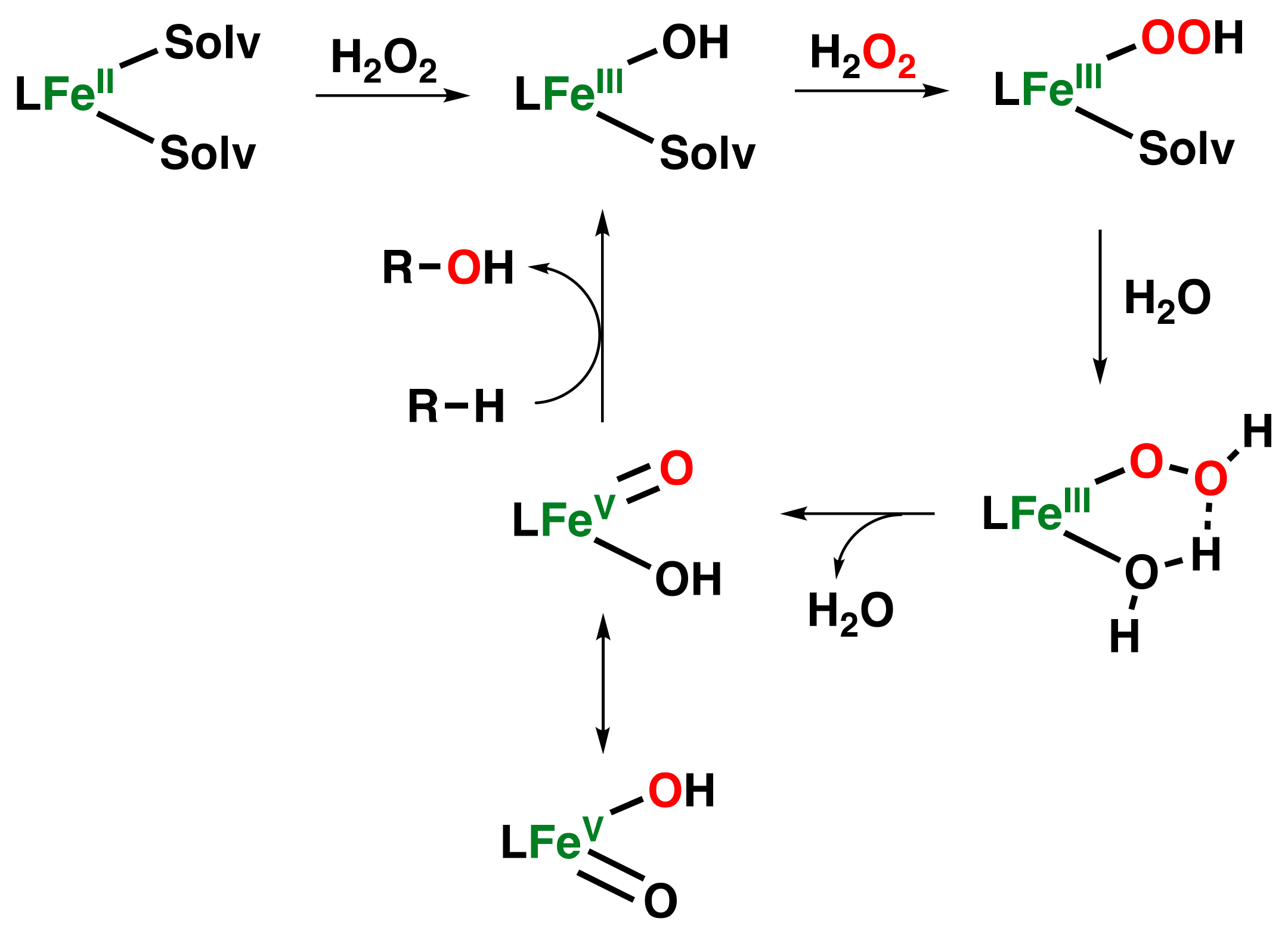 Catalysts 13 00773 g011 Catalysts 13 00773 g011