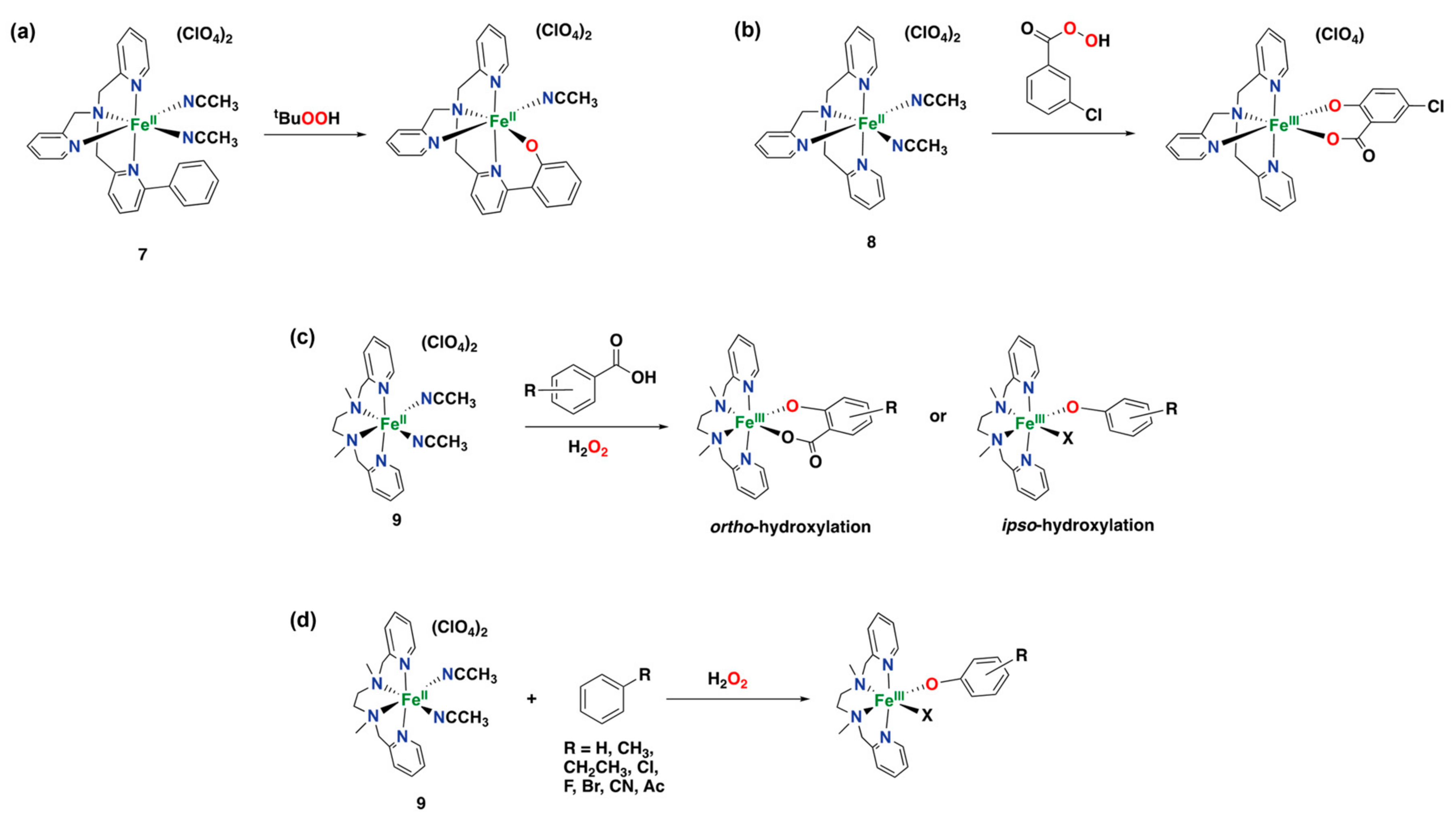 Catalysts 13 00773 g014 Catalysts 13 00773 g014