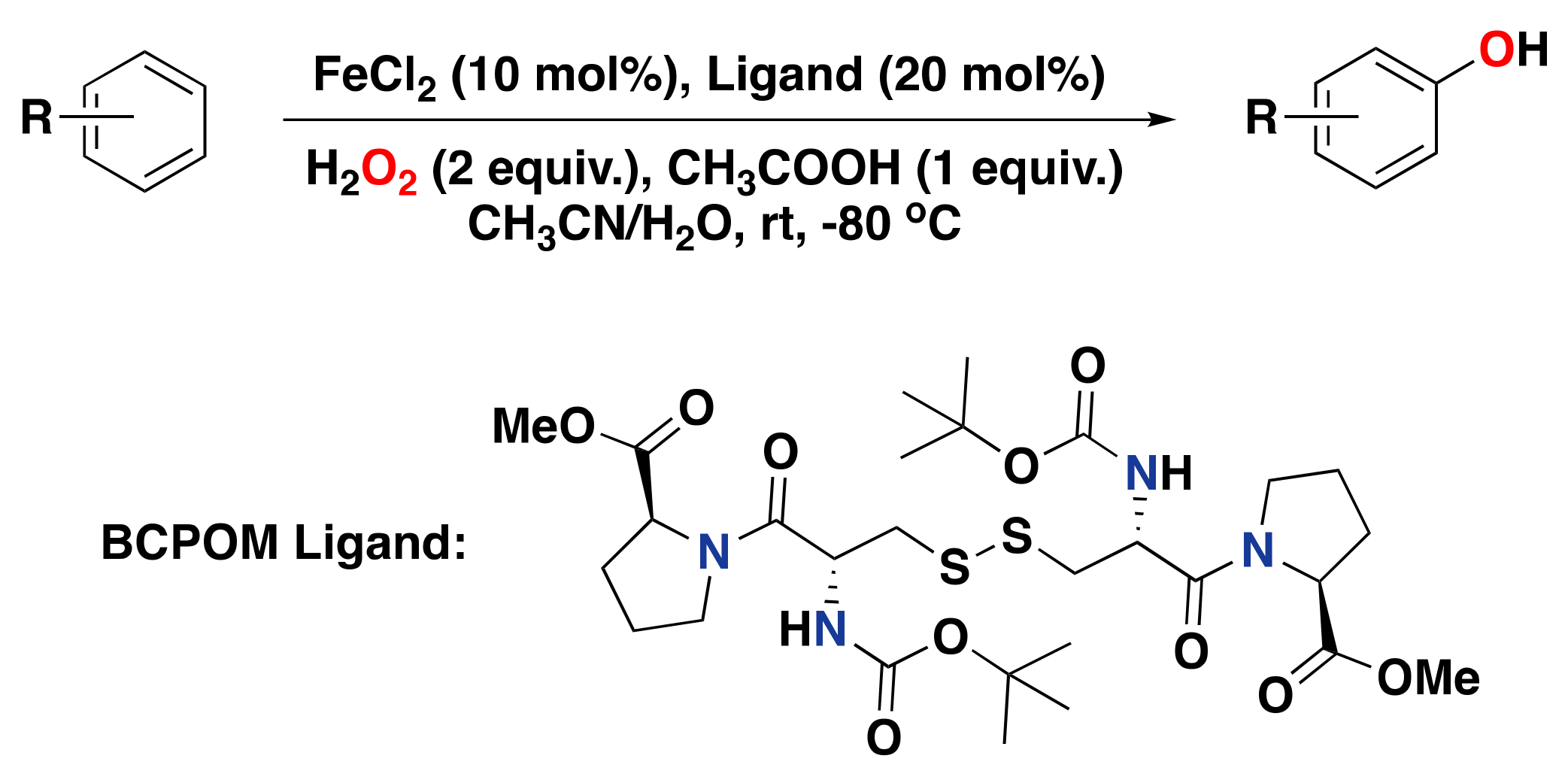 Catalysts 13 00773 g024 Catalysts 13 00773 g024