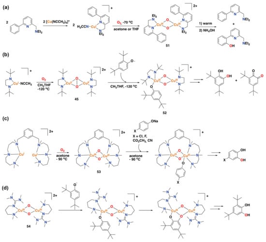 Catalysts 13 00773 g028