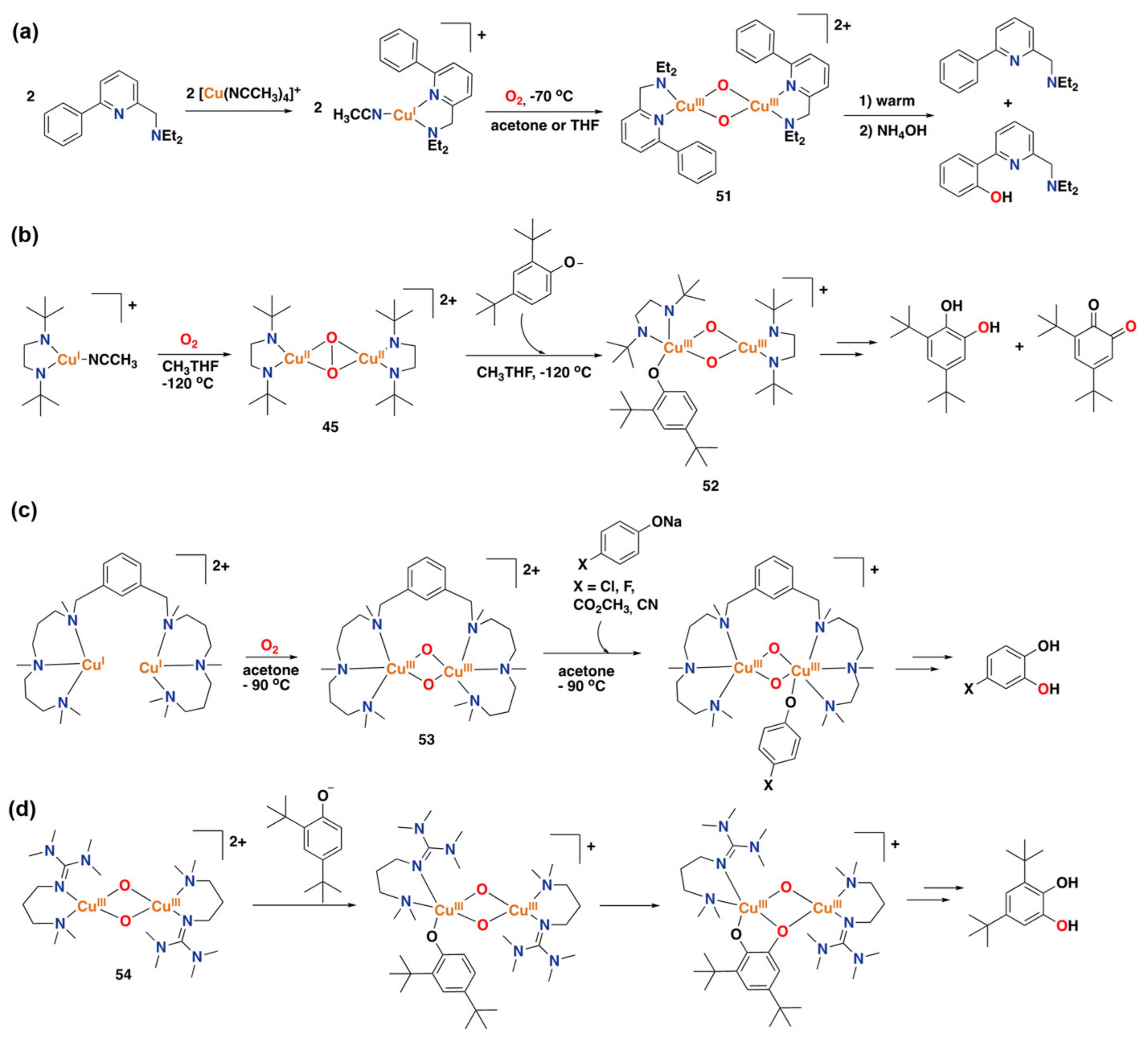 Catalysts 13 00773 g028 Catalysts 13 00773 g028