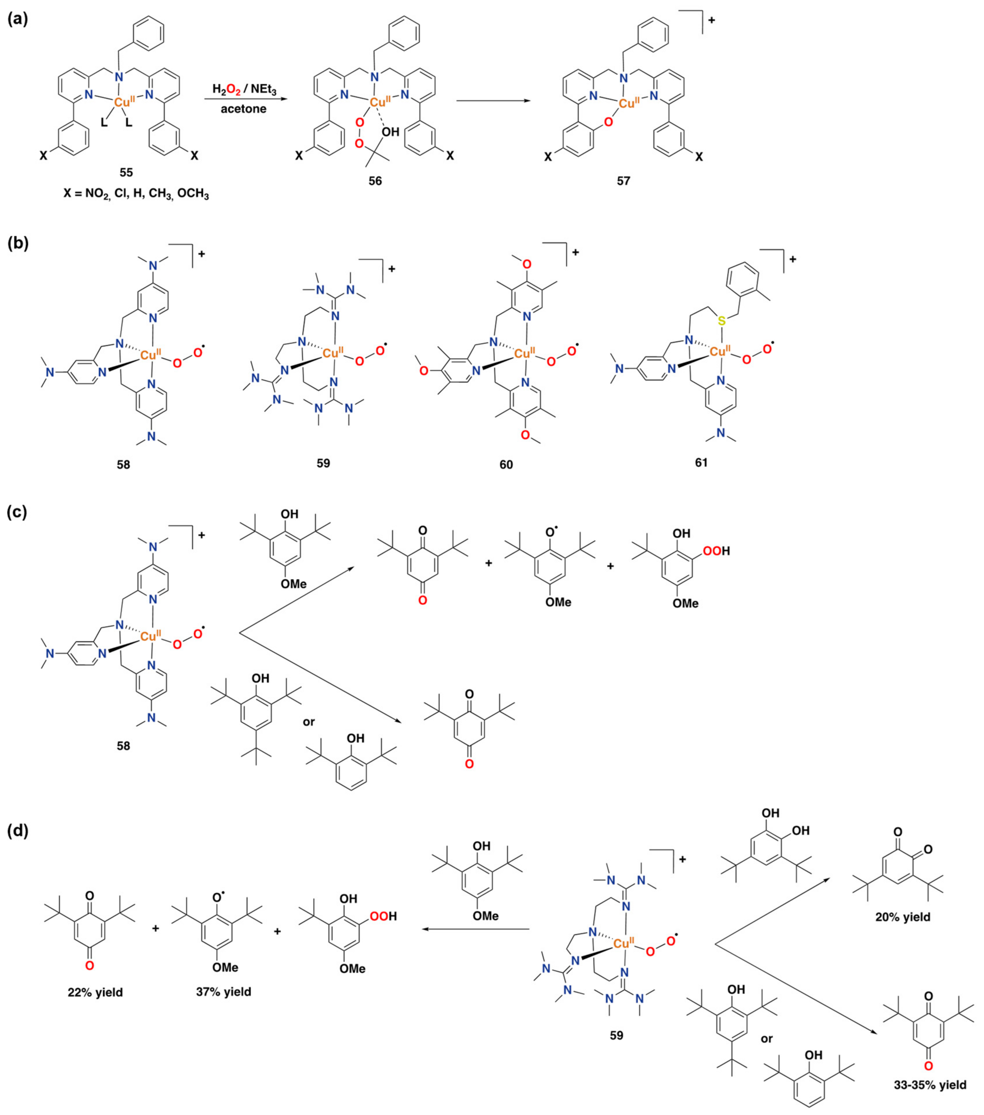 Catalysts 13 00773 g029 Catalysts 13 00773 g029
