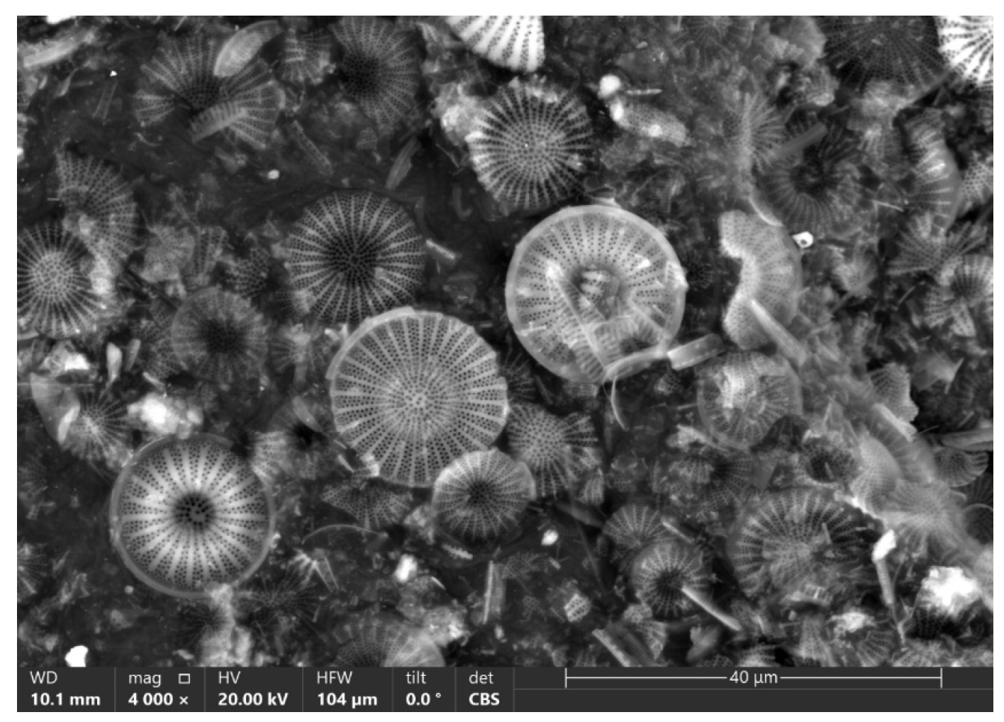 Catalysts 13 00777 g002 Catalysts 13 00777 g002