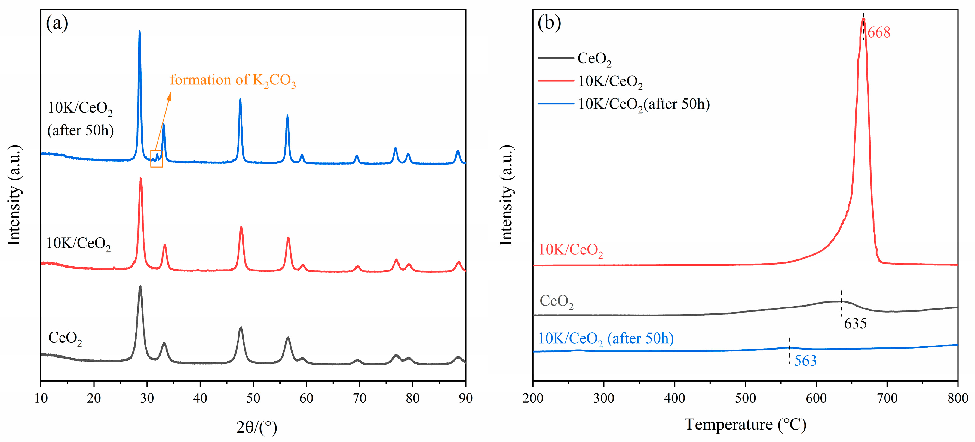 Catalysts 13 00781 g010