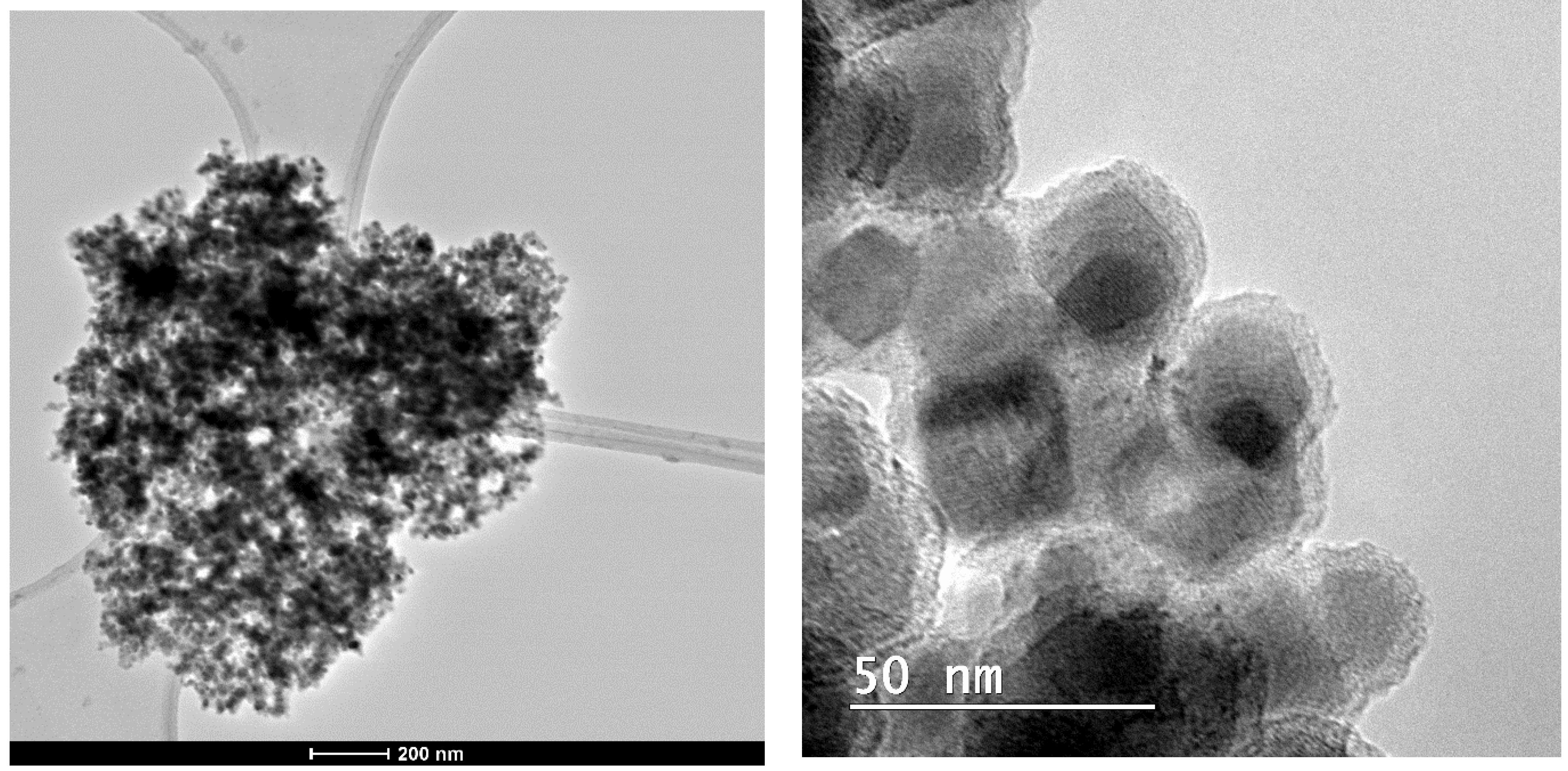 Catalysts 13 00782 g004