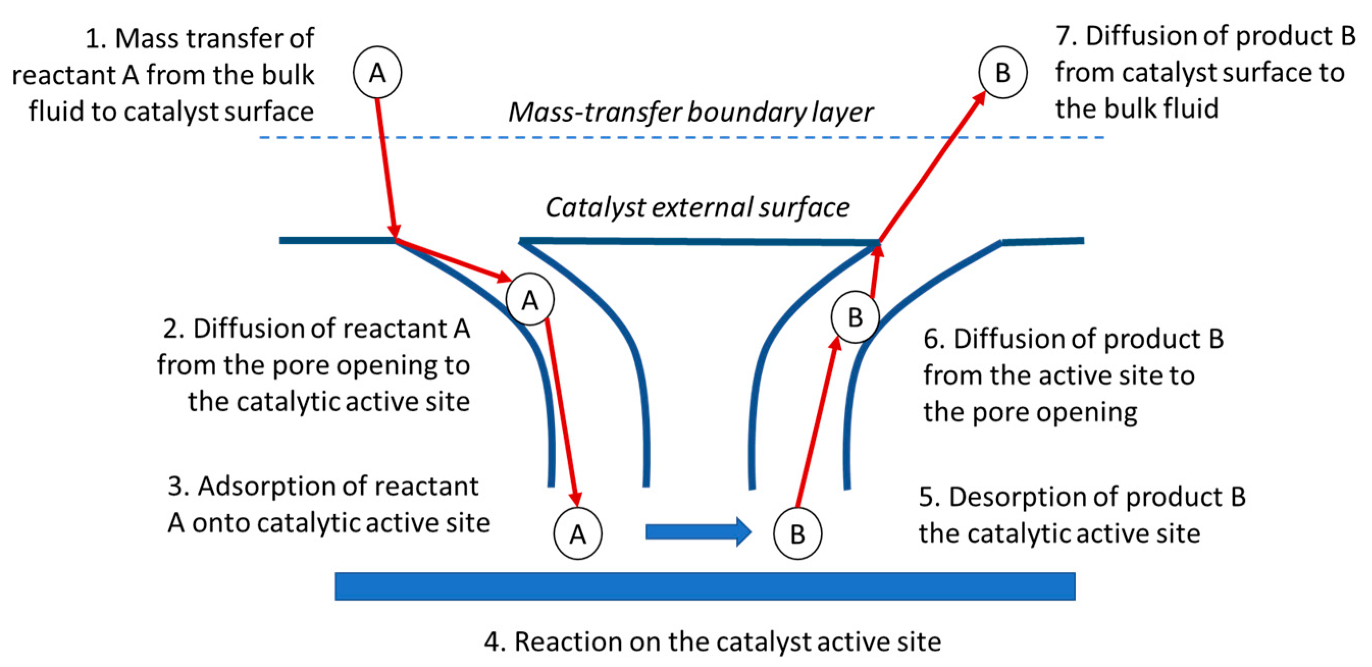 Catalysts 13 00784 g005