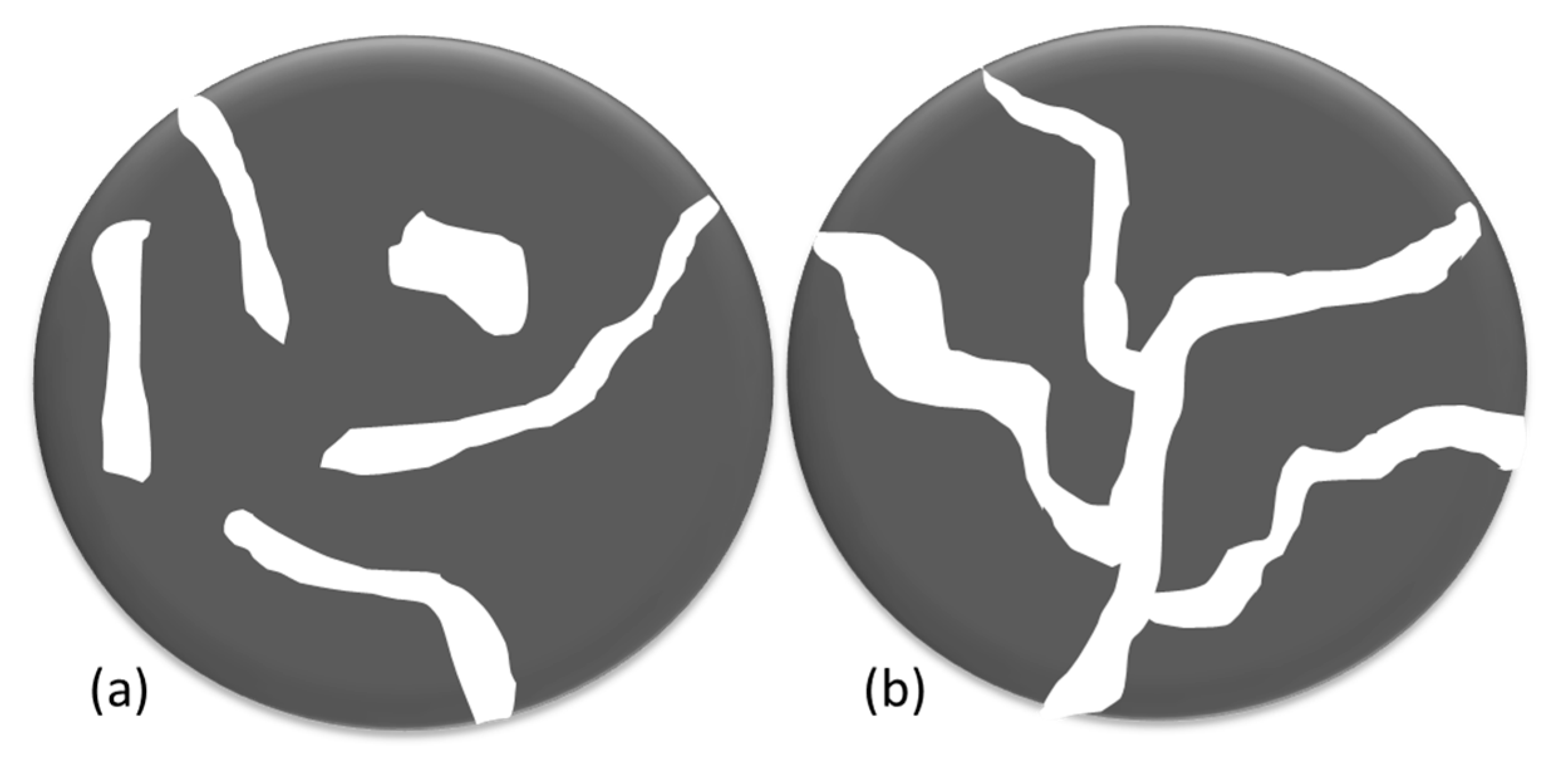 Catalysts 13 00784 g013