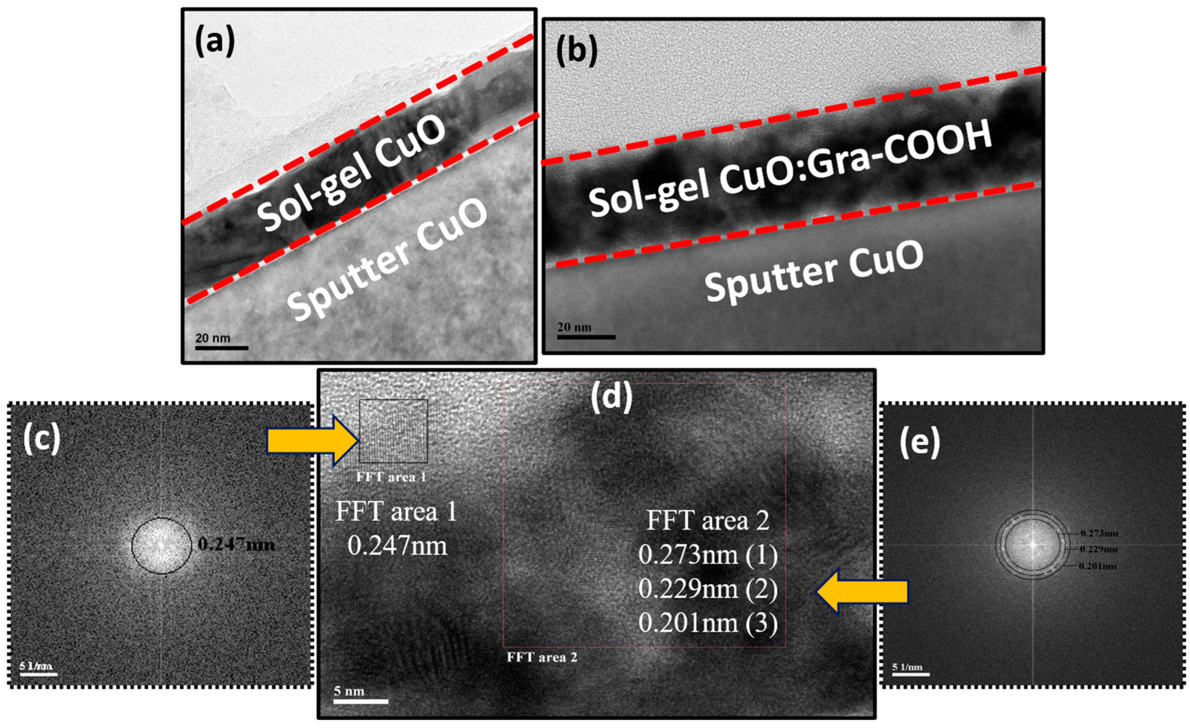 Catalysts 13 00785 g001