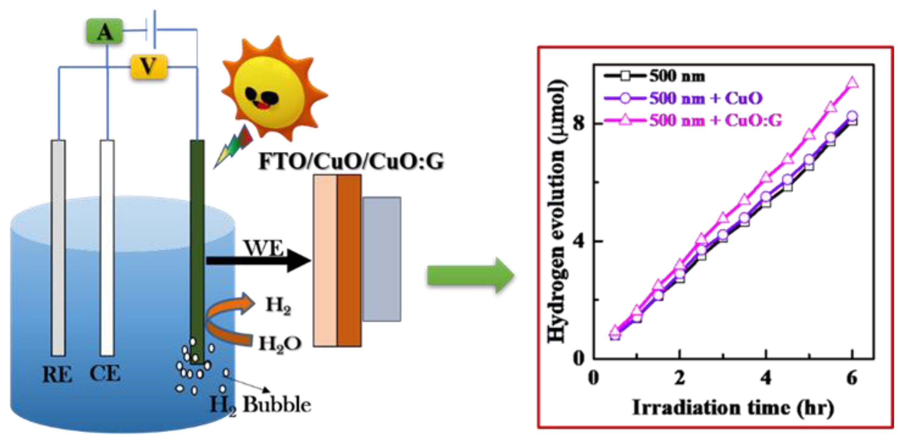 Catalysts 13 00785 g010