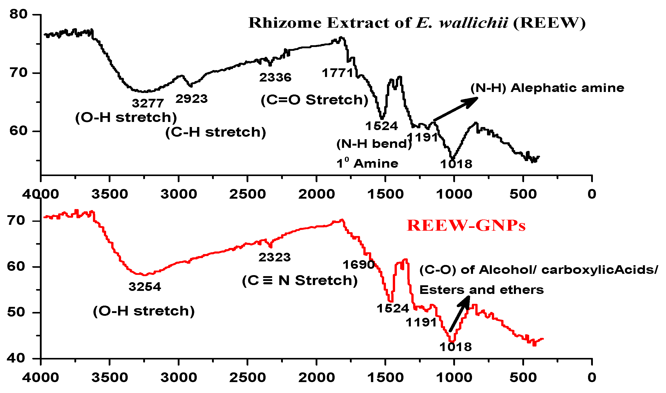 Catalysts 13 00786 g004 Catalysts 13 00786 g004