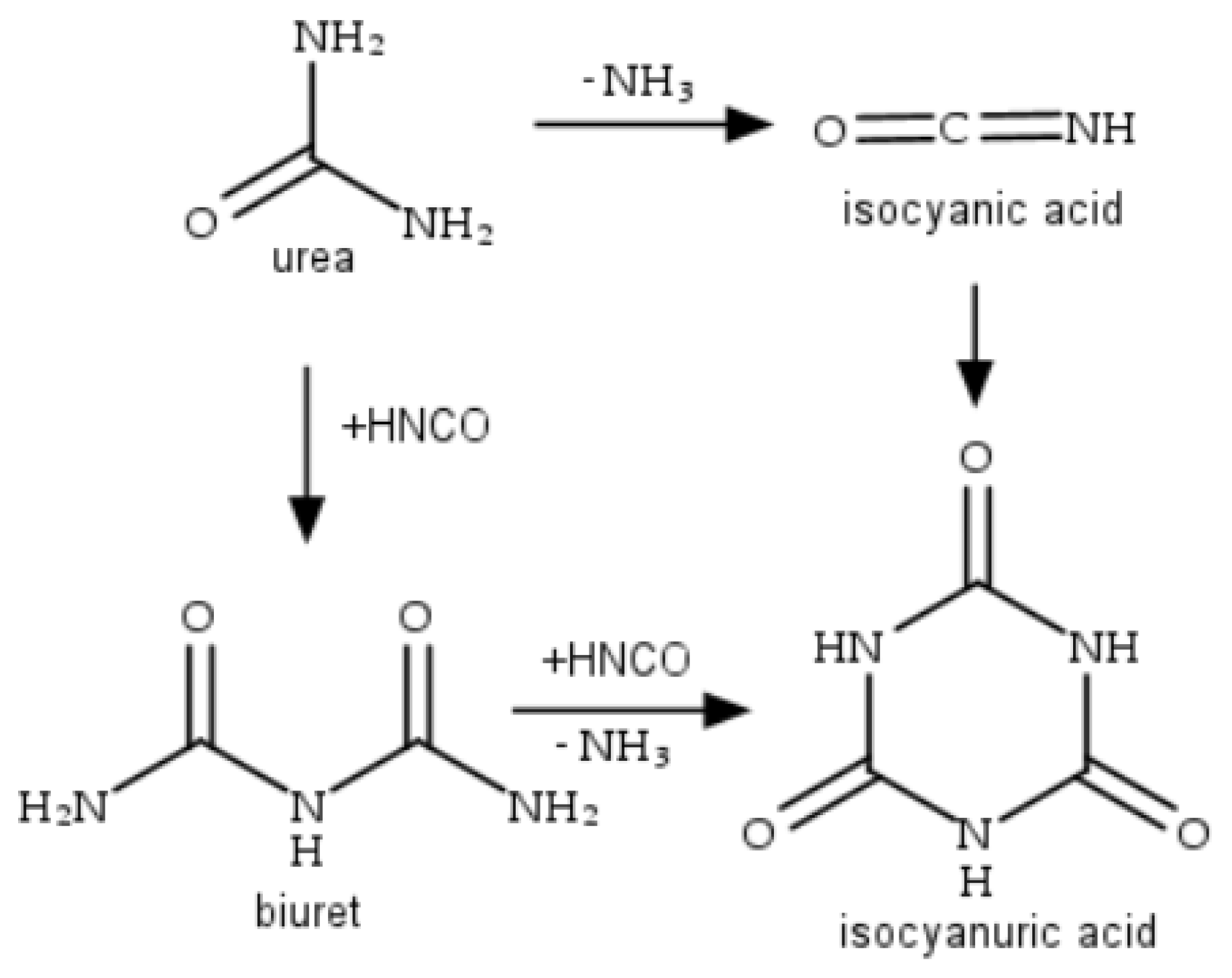 Catalysts 13 00789 g003