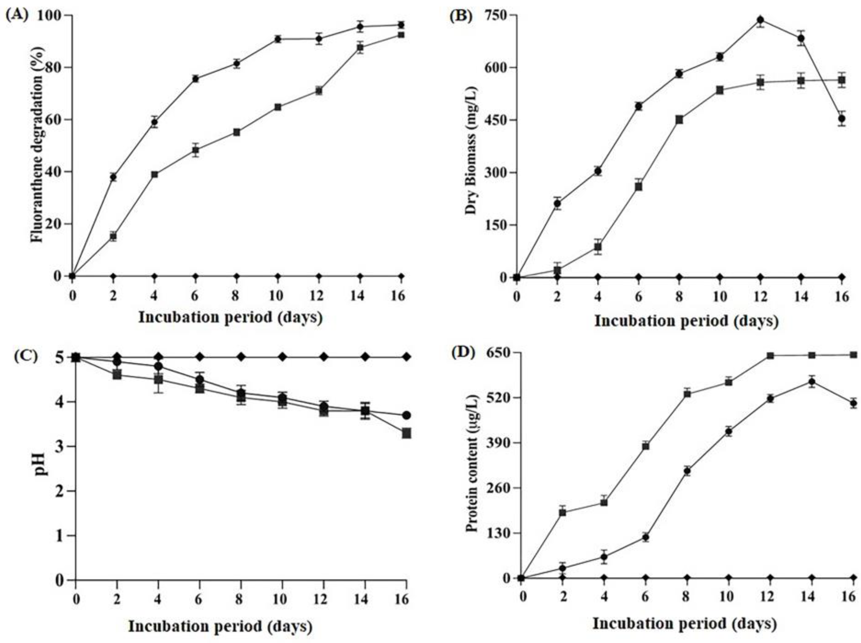 Catalysts 13 00791 g001