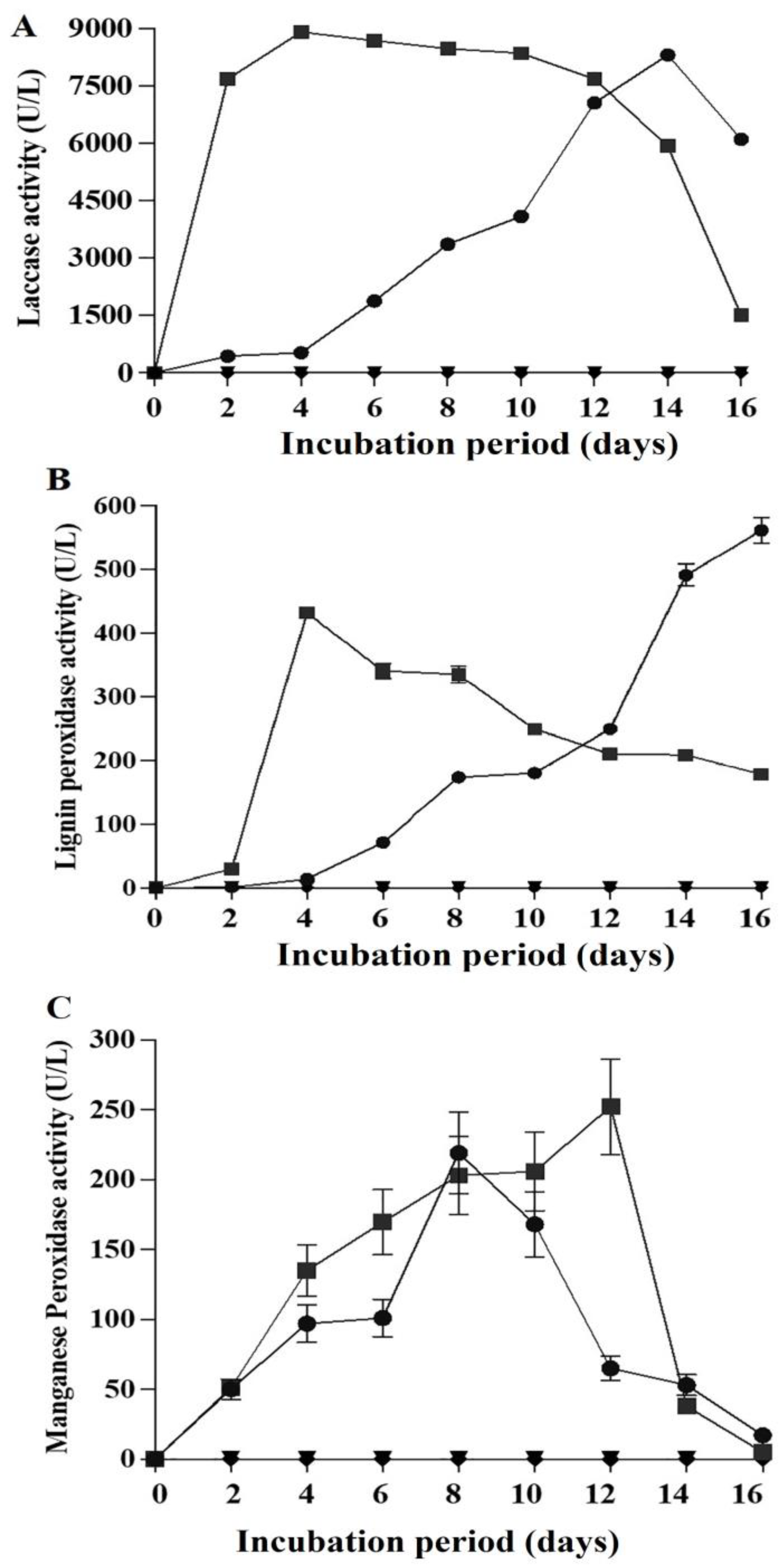 Catalysts 13 00791 g003