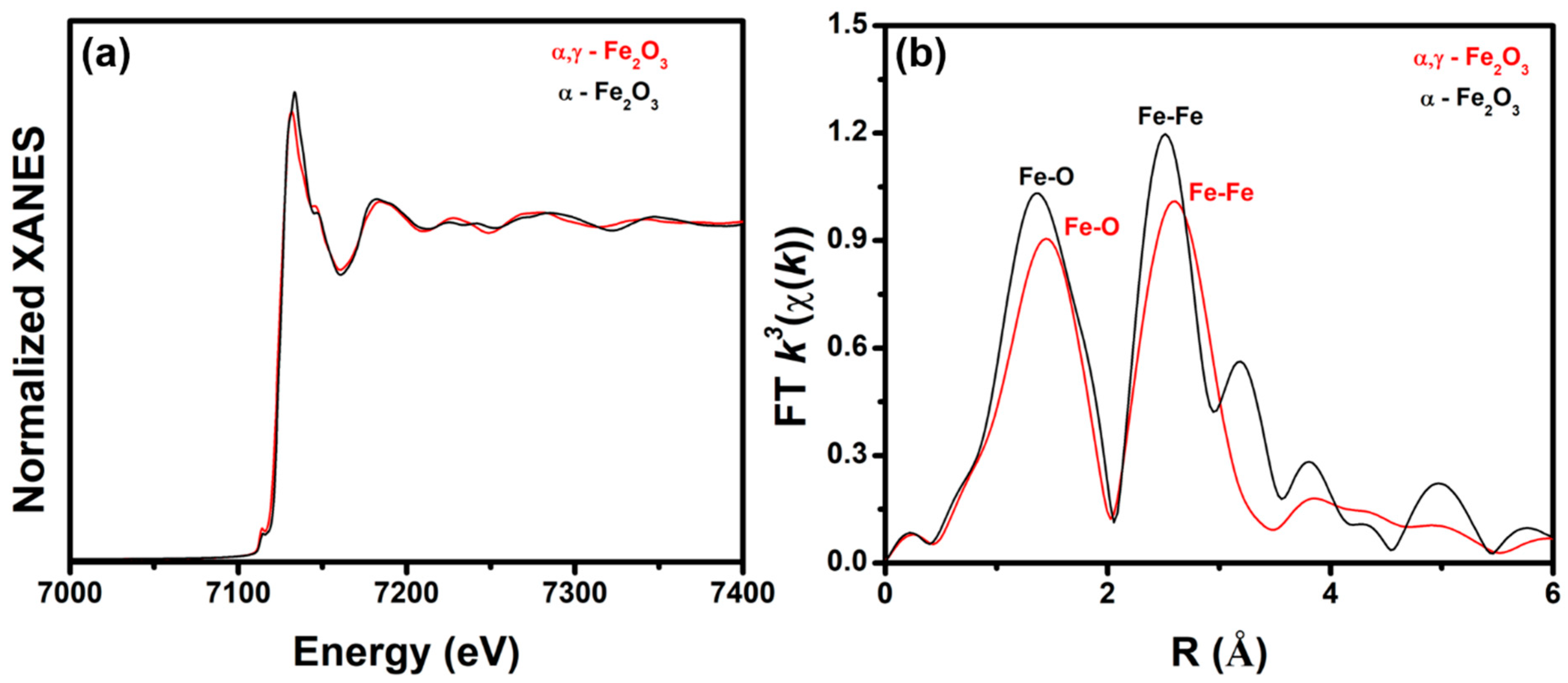 Catalysts 13 00792 g002