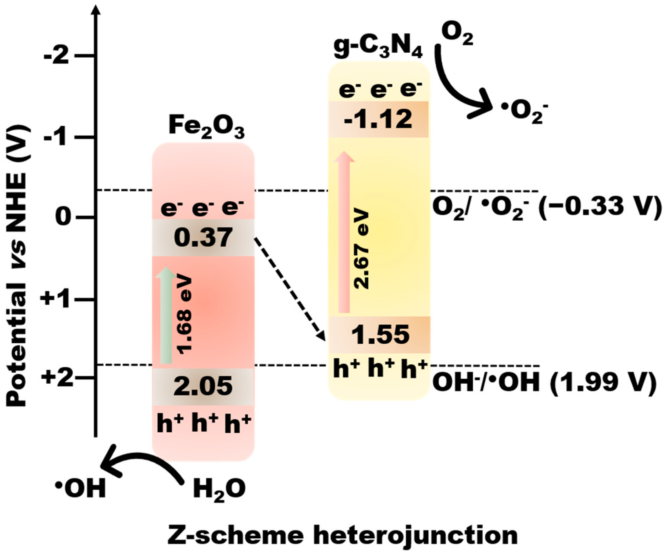 Catalysts 13 00792 sch001