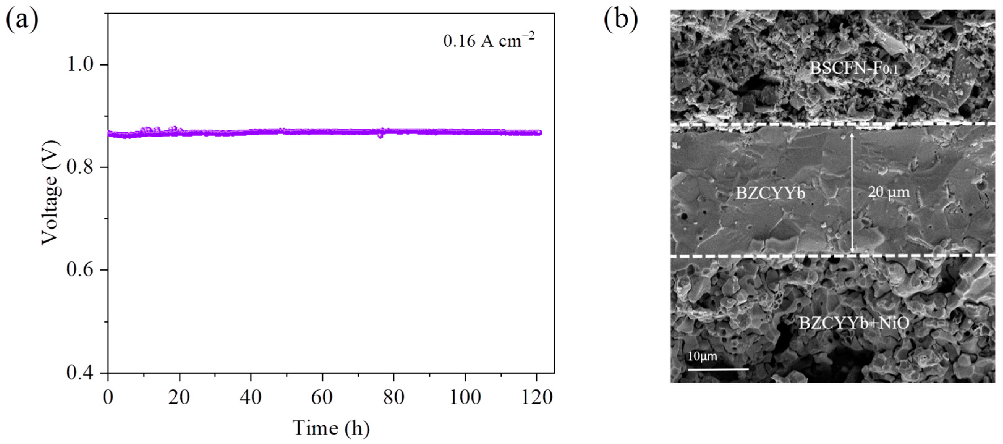 Catalysts 13 00793 g010