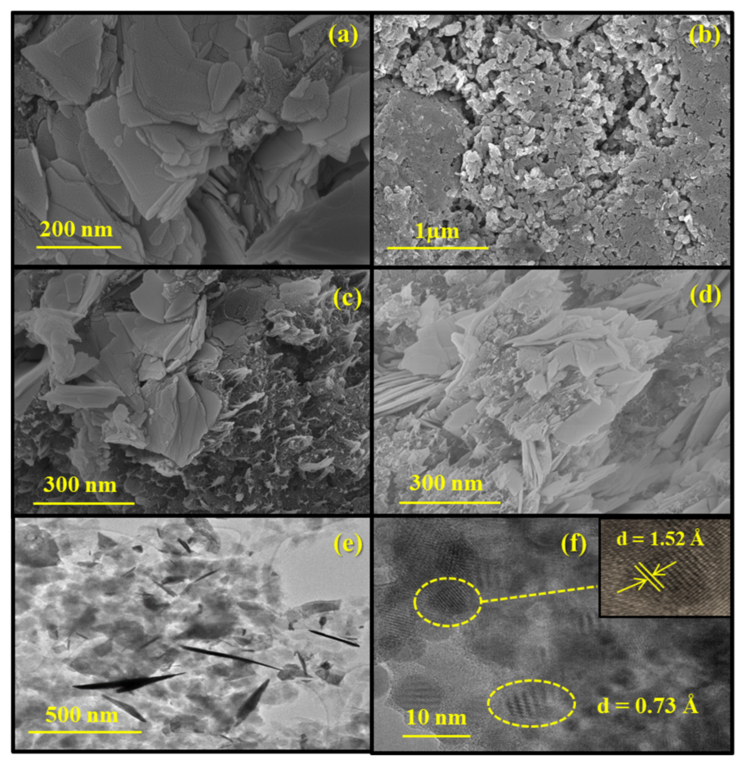 Catalysts 13 00795 g004