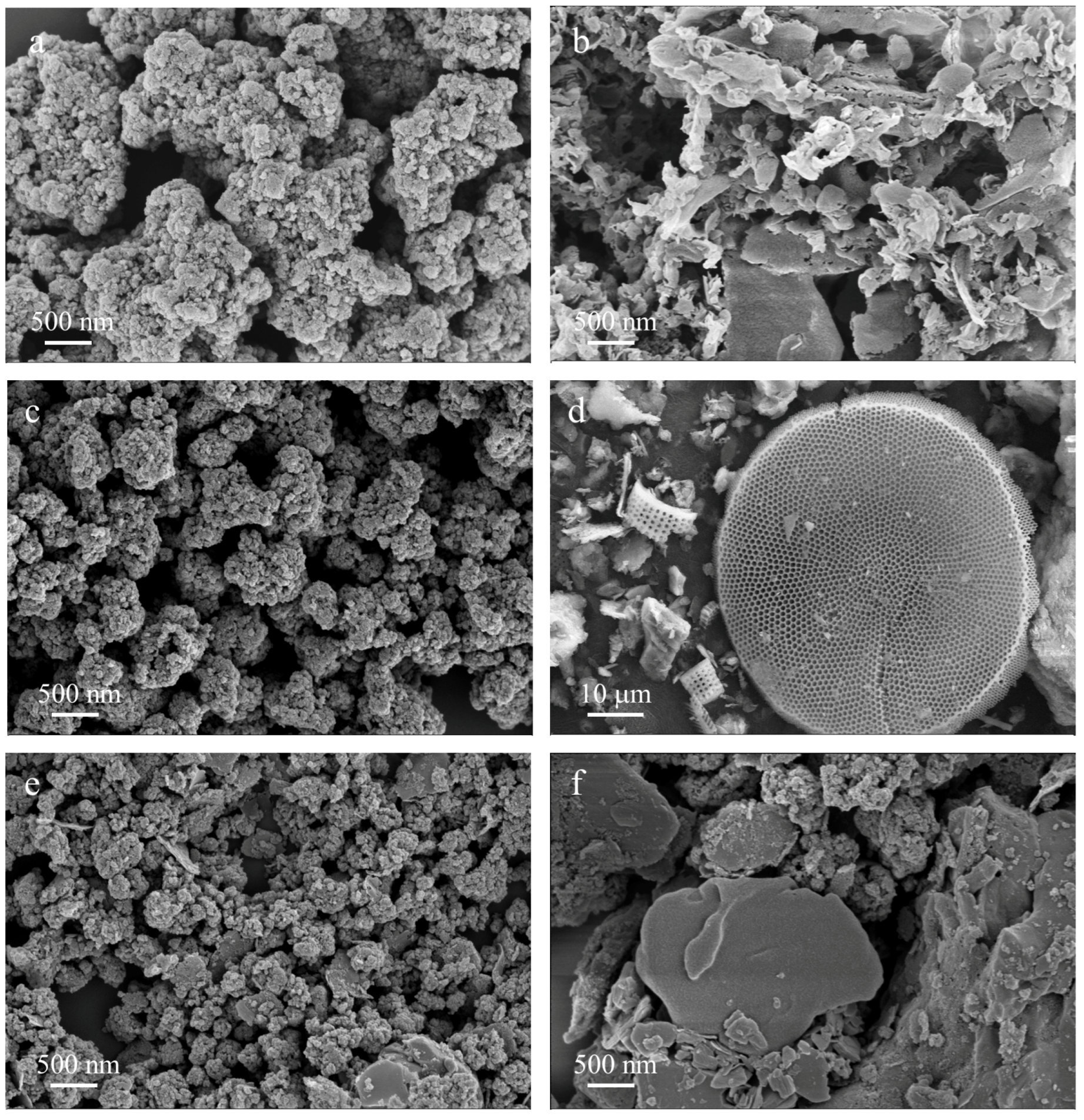 Catalysts 13 00796 g007