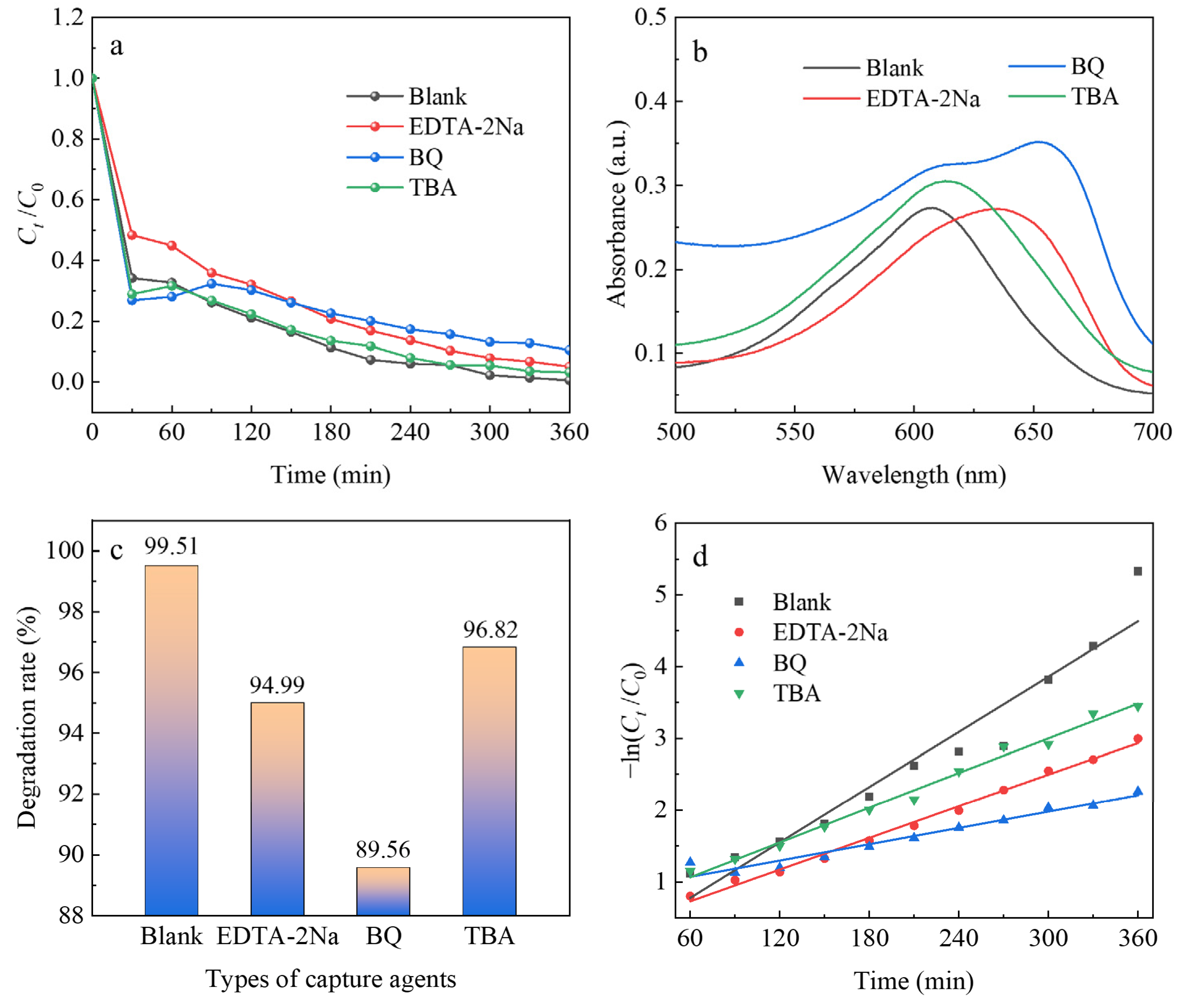 Catalysts 13 00796 g012