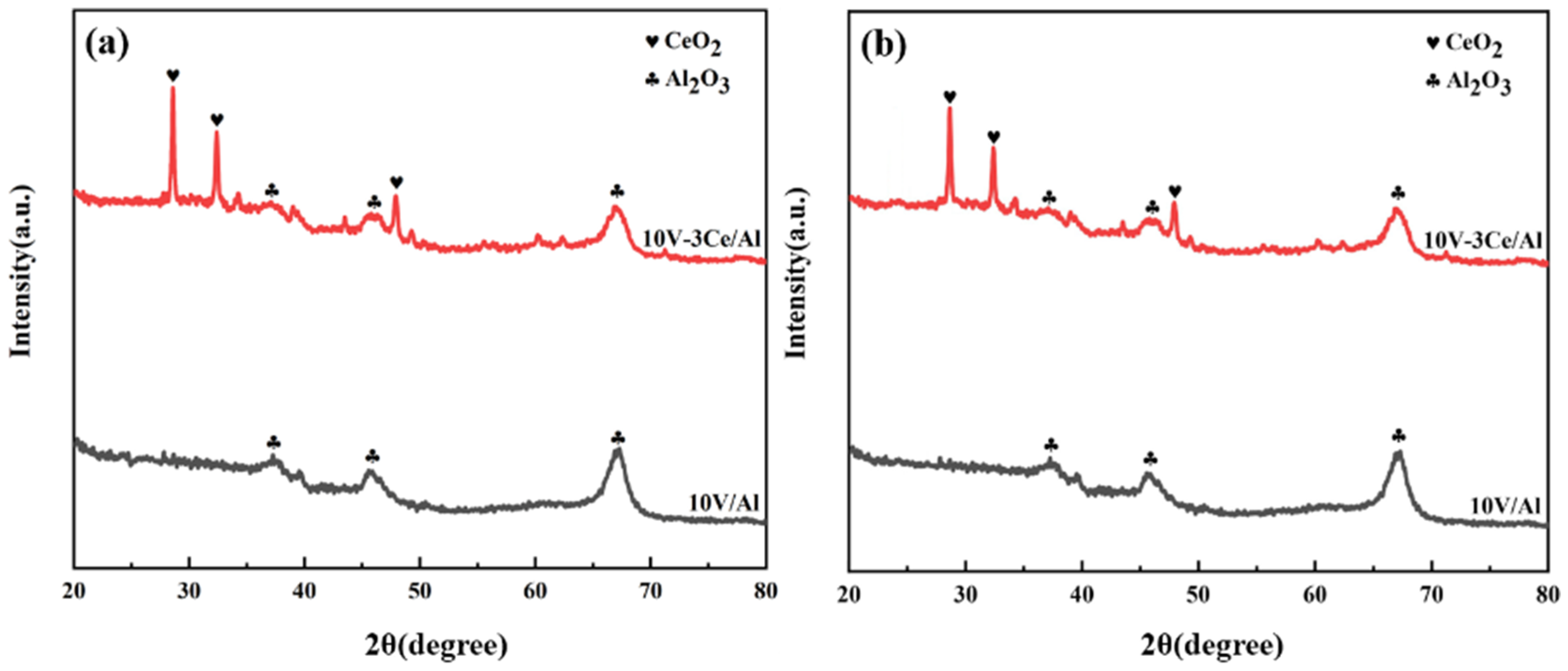 Catalysts 13 00797 g011